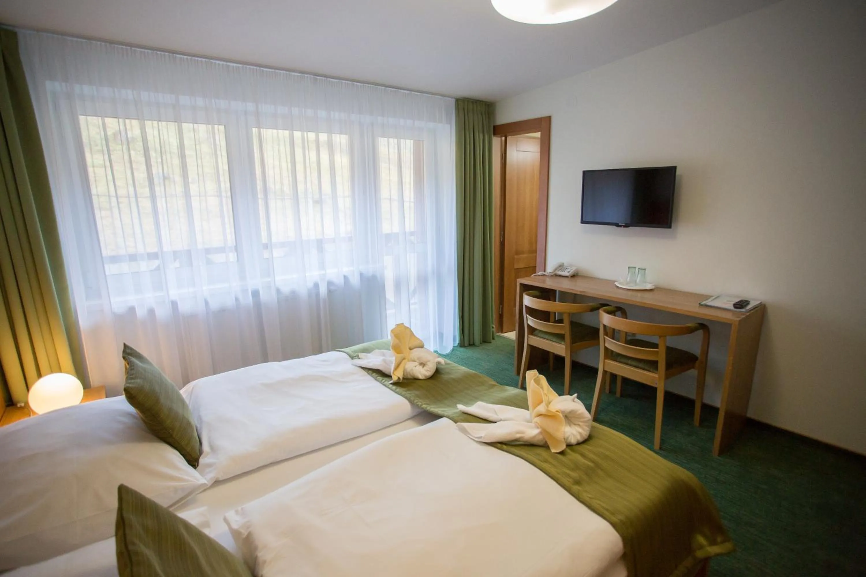Double or Twin Room in Hotel Bystrina