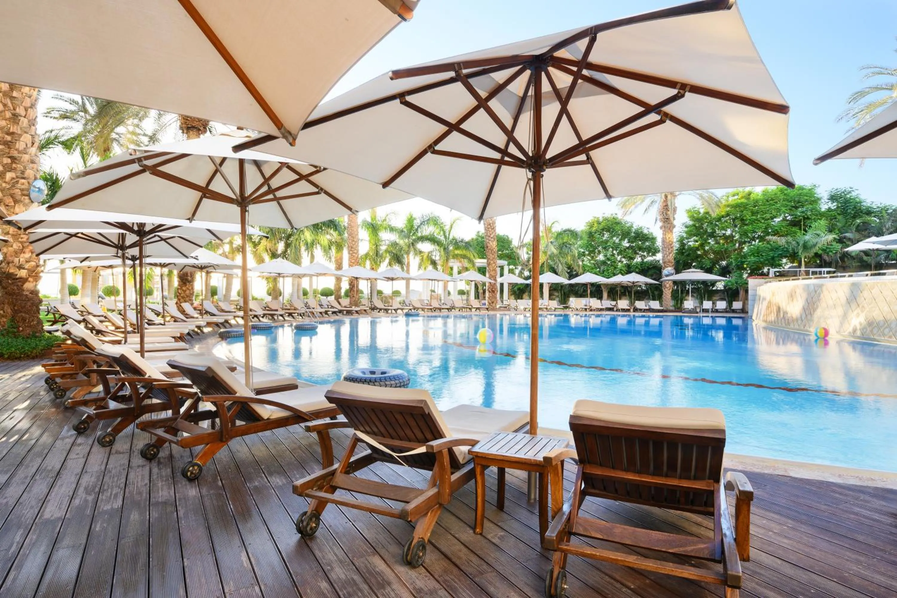 Swimming pool in Nevo by Isrotel Collection