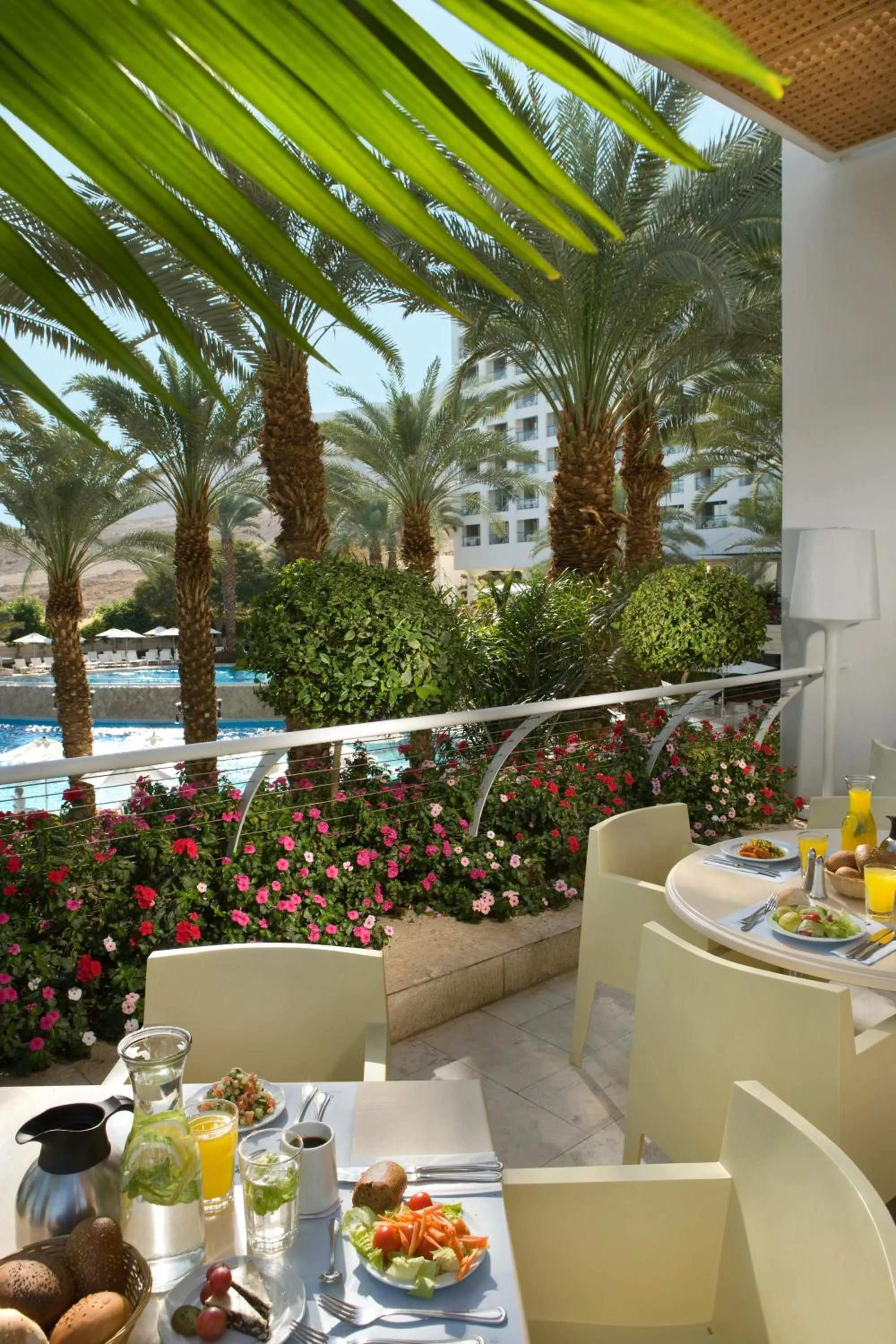 Restaurant/places to eat in Nevo by Isrotel Collection