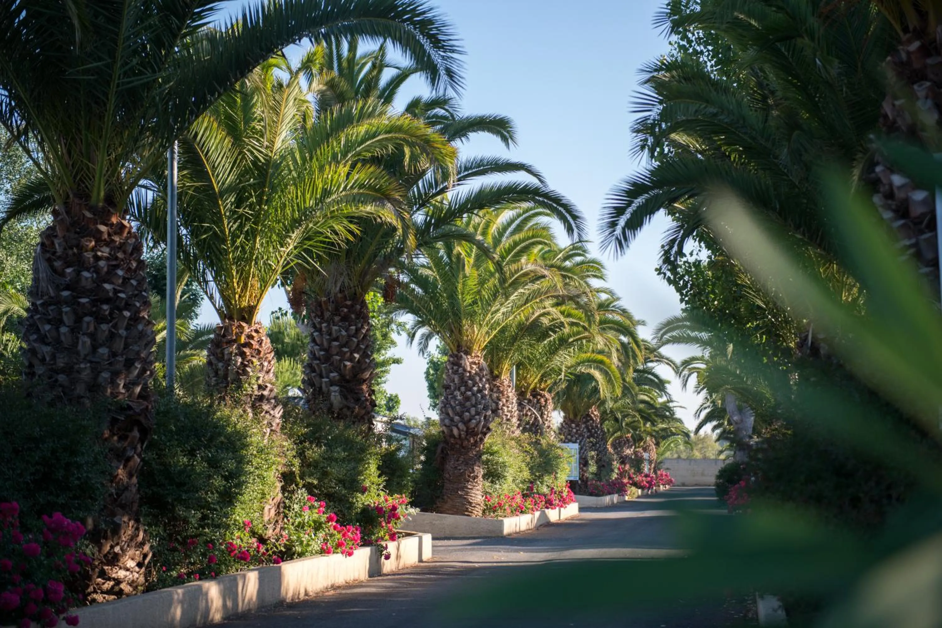 Camping Officiel Siblu La Carabasse