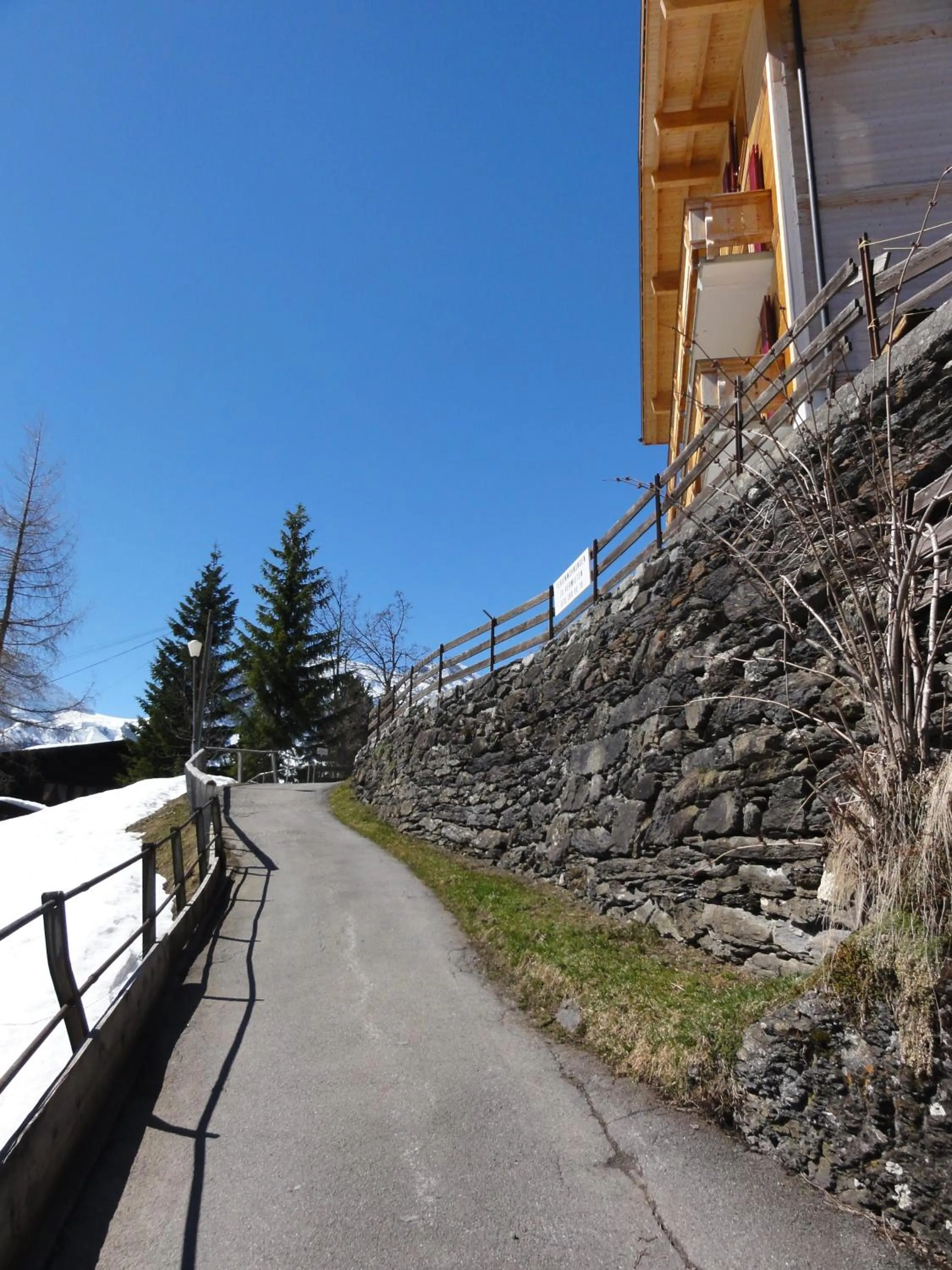 Chalet Schönbühl