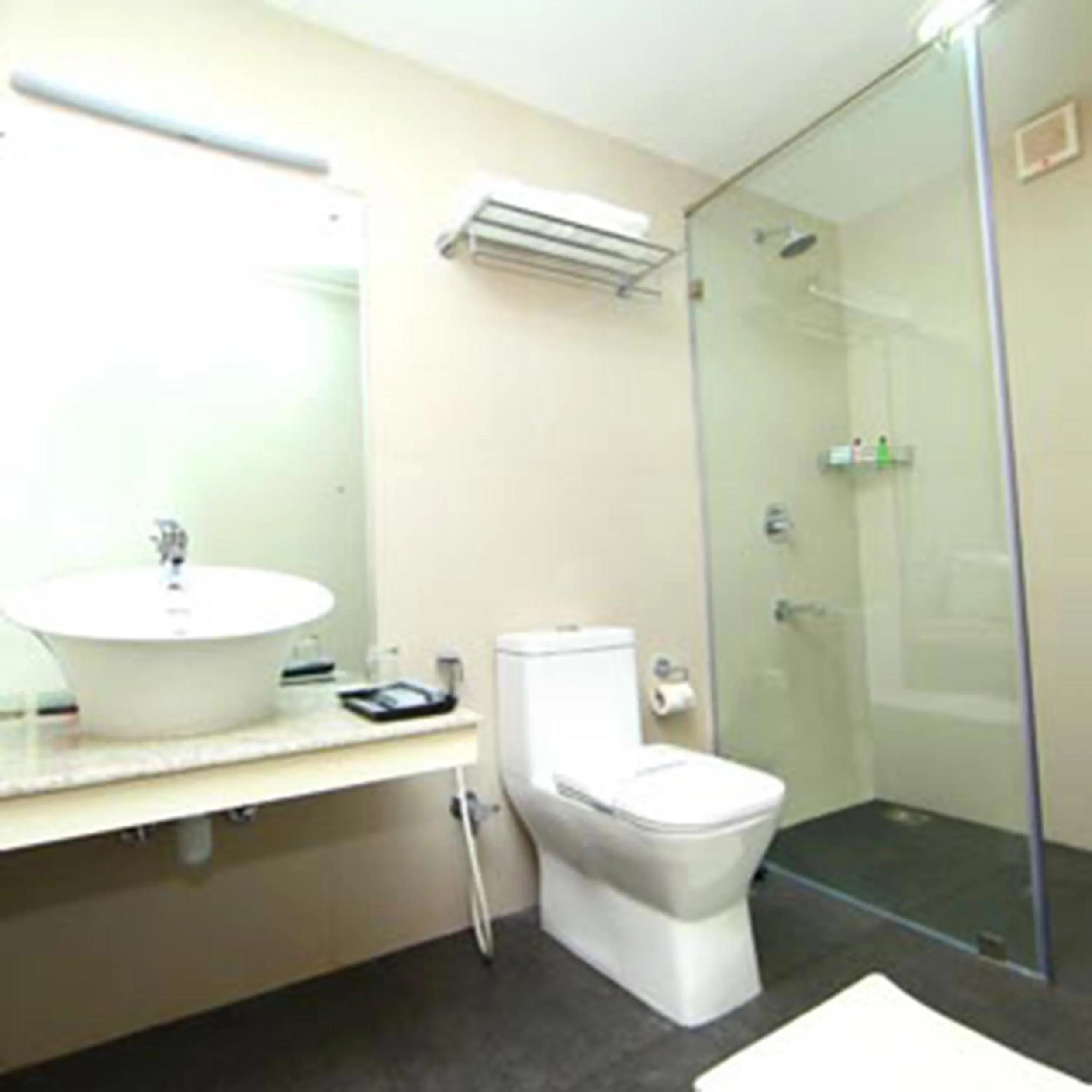 Toilet in Millennium Continental