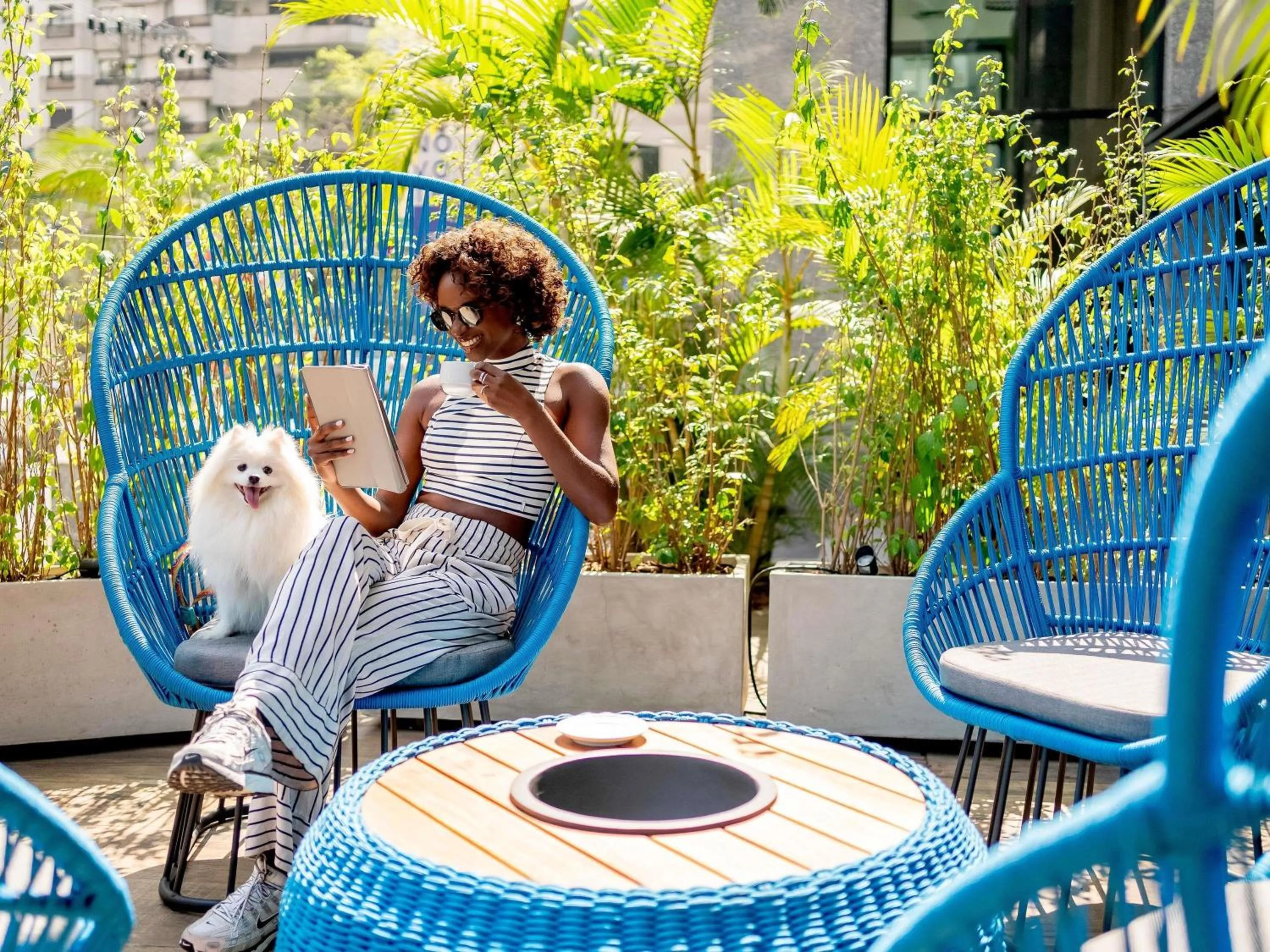 Property building in Novotel SP Jardins