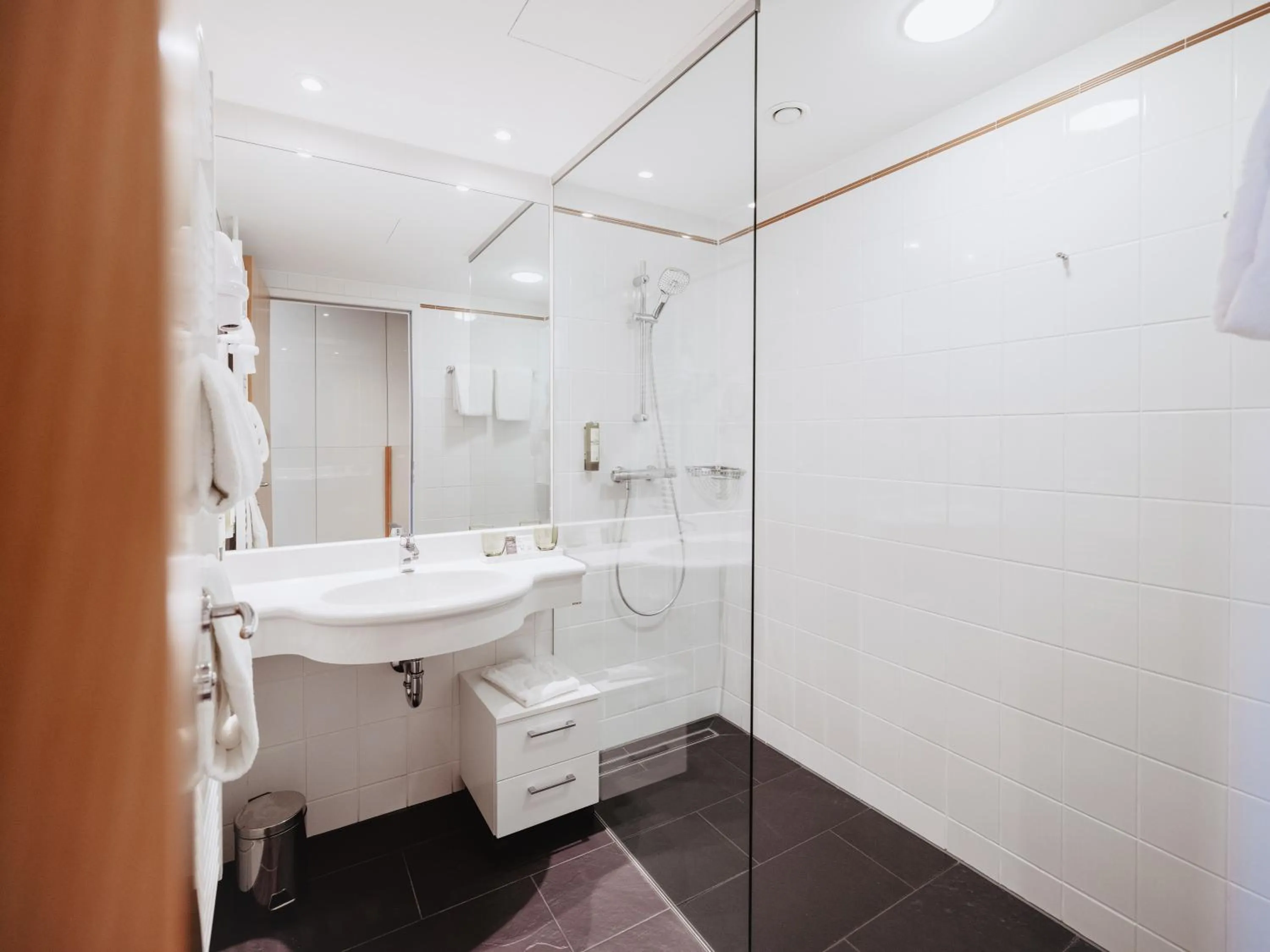 Shower in Spa Resort Geinberg