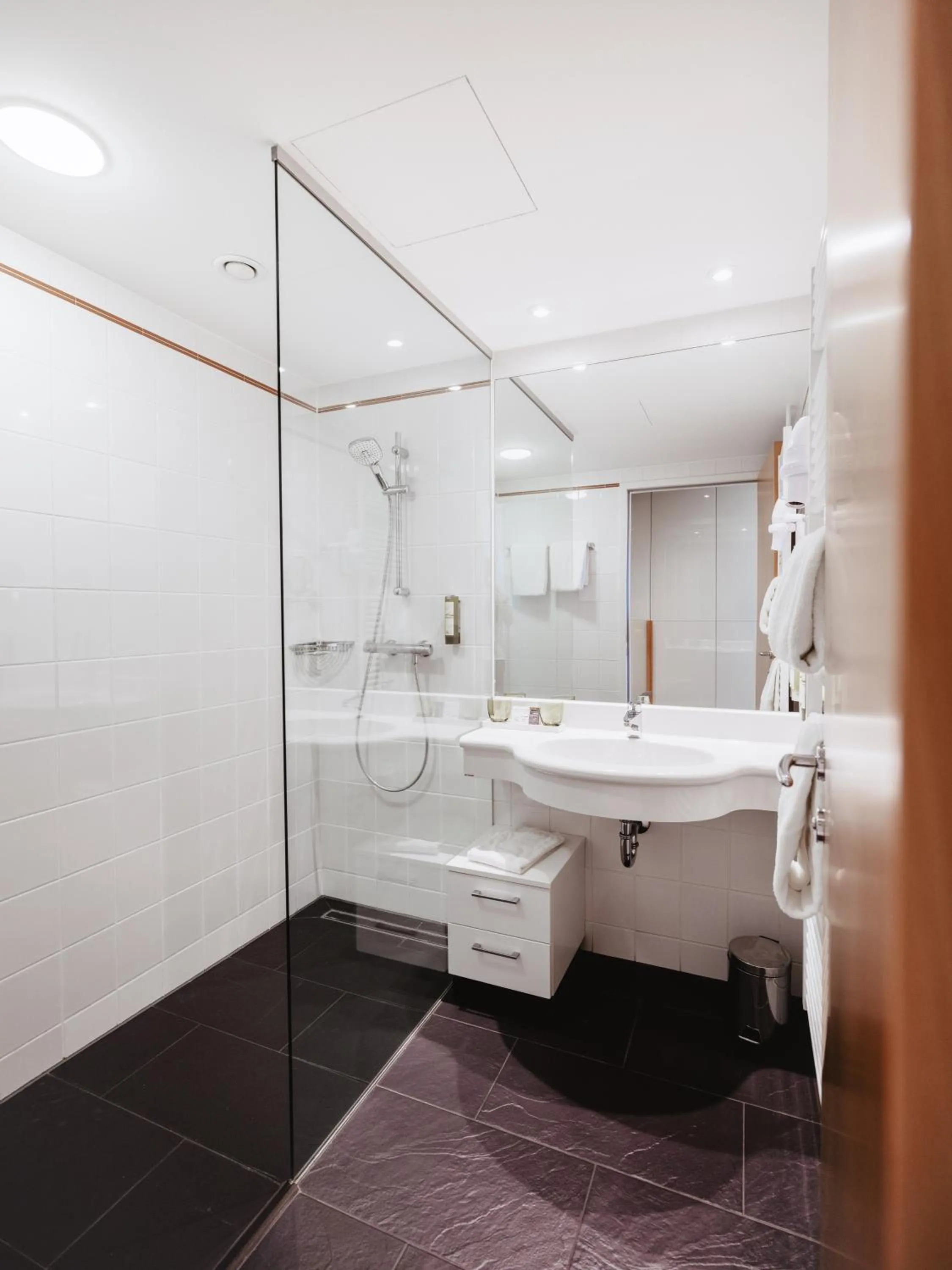 Shower in Spa Resort Geinberg