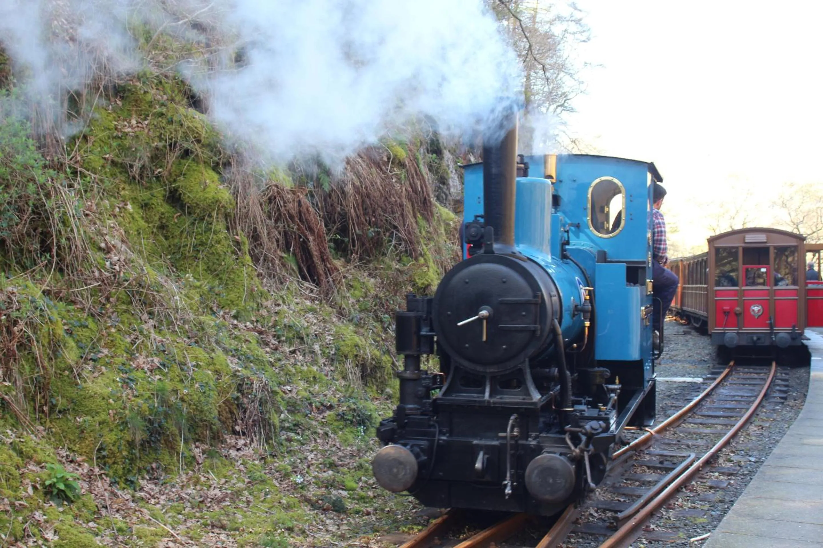 Activities in The Old School House Bed and Breakfast