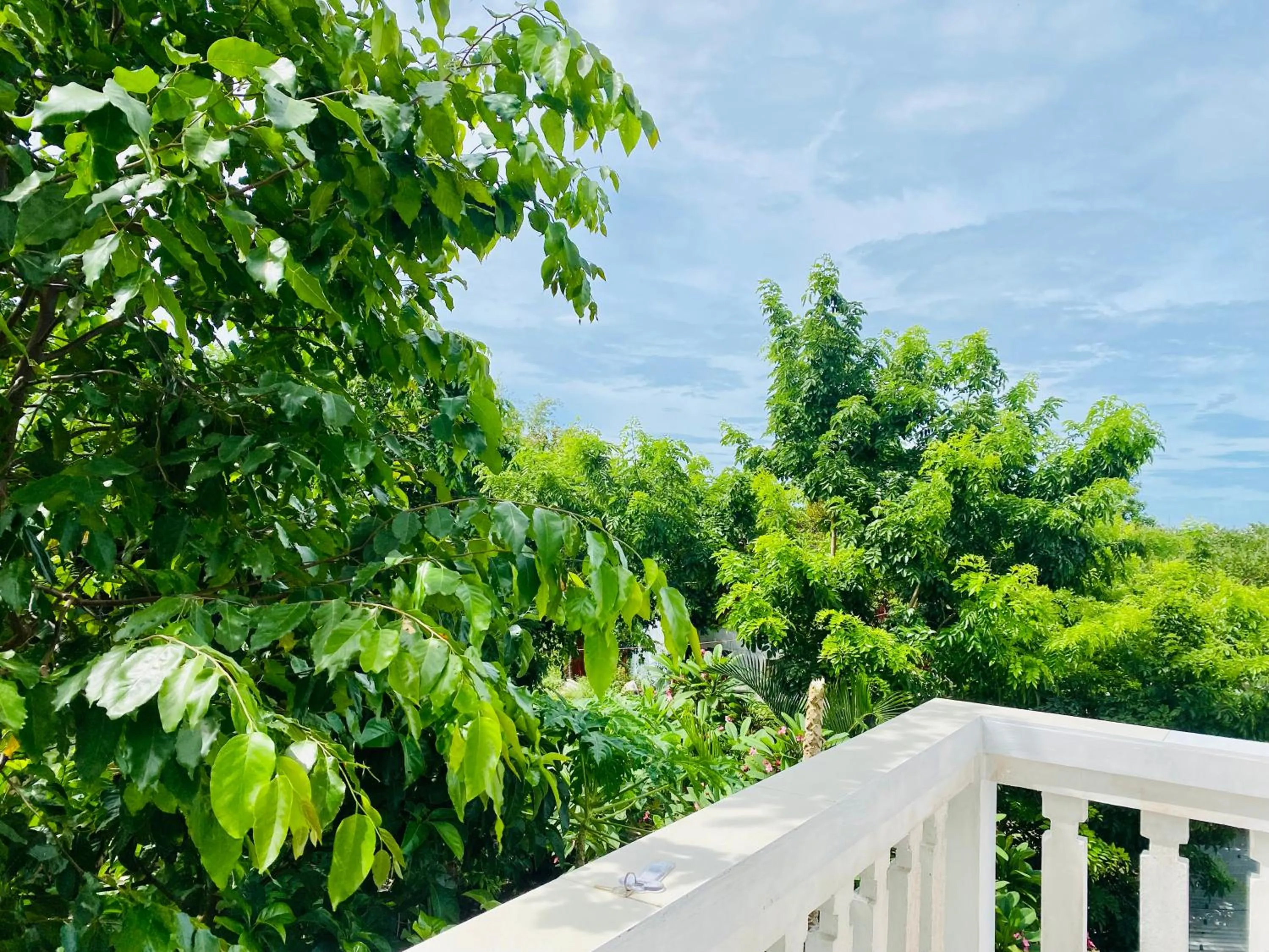 Natural landscape in Rice River Villa - Hoi An
