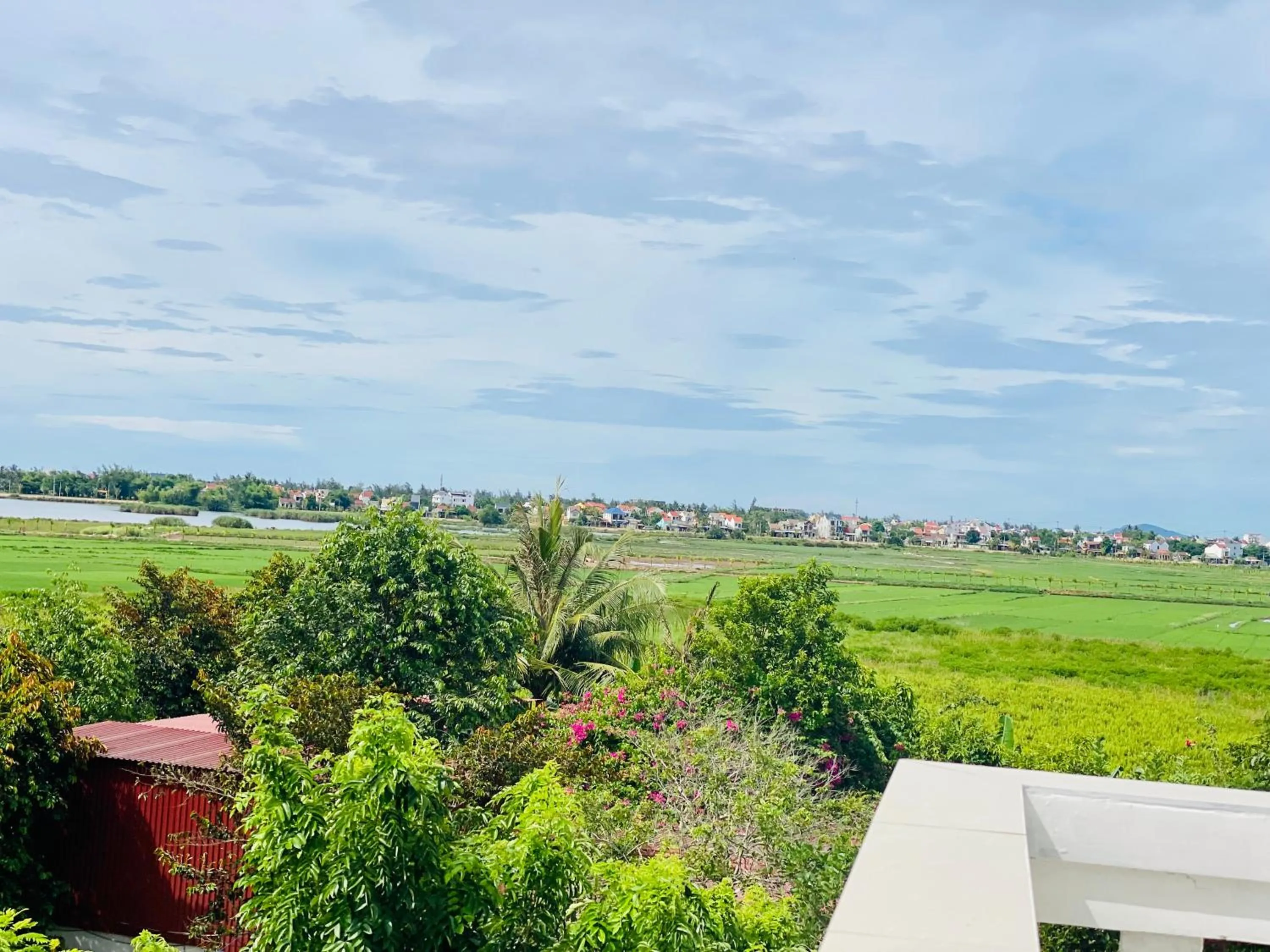 Natural landscape in Rice River Villa - Hoi An