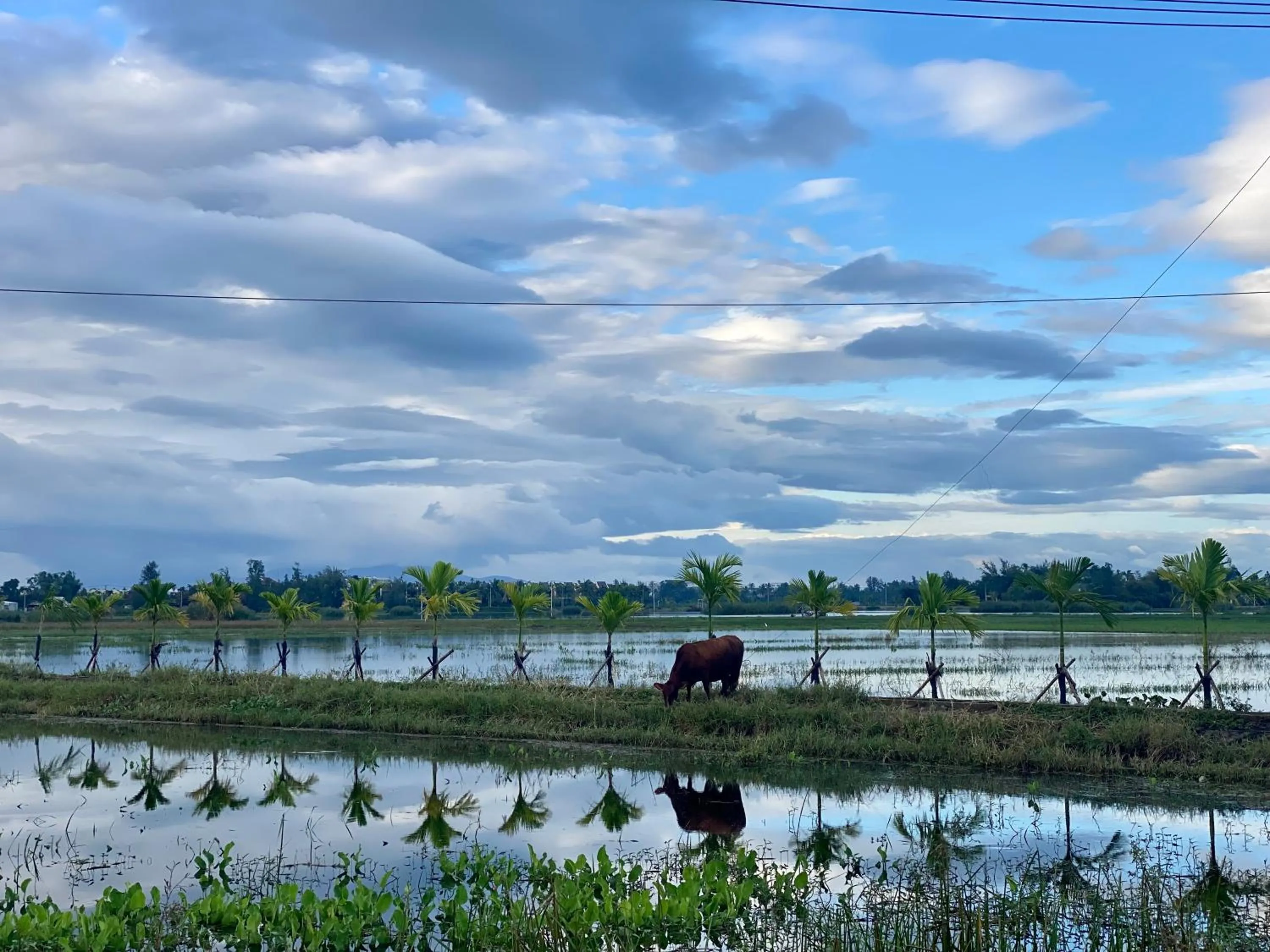 Neighbourhood in Rice River Villa - Hoi An