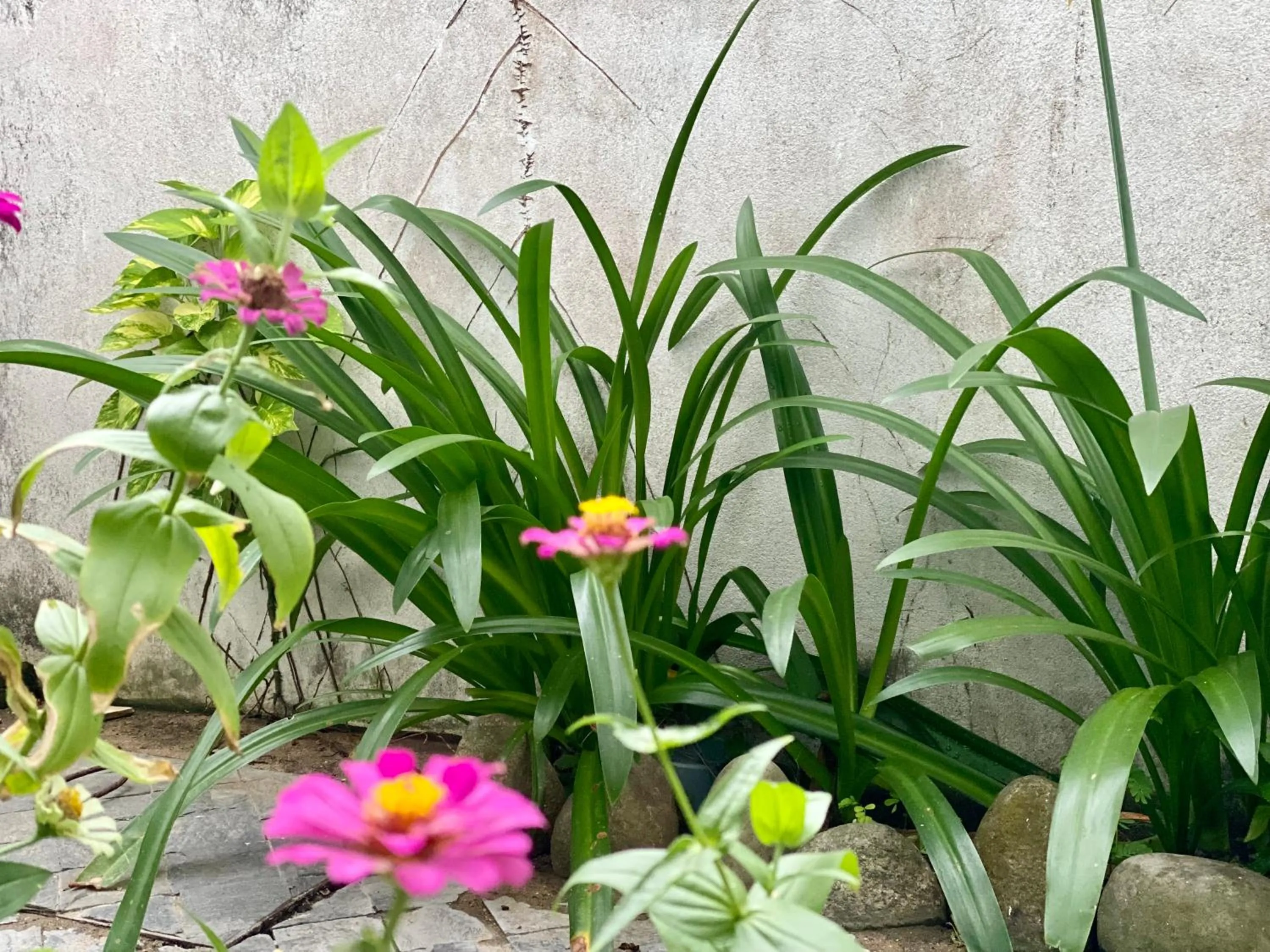 View (from property/room) in Rice River Villa - Hoi An