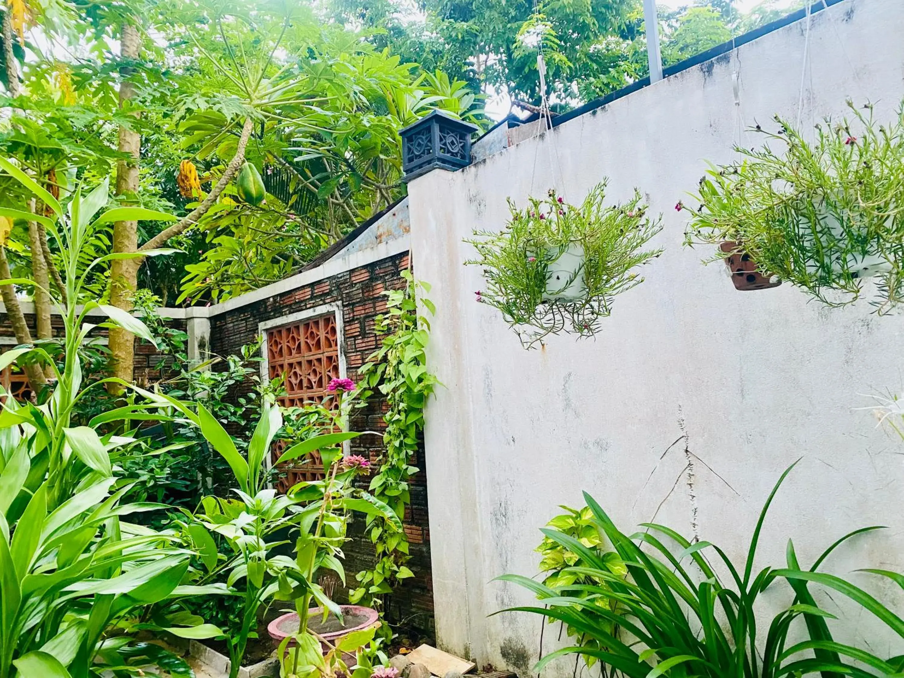 View (from property/room) in Rice River Villa - Hoi An View (from property/room) in Rice River Villa - Hoi An