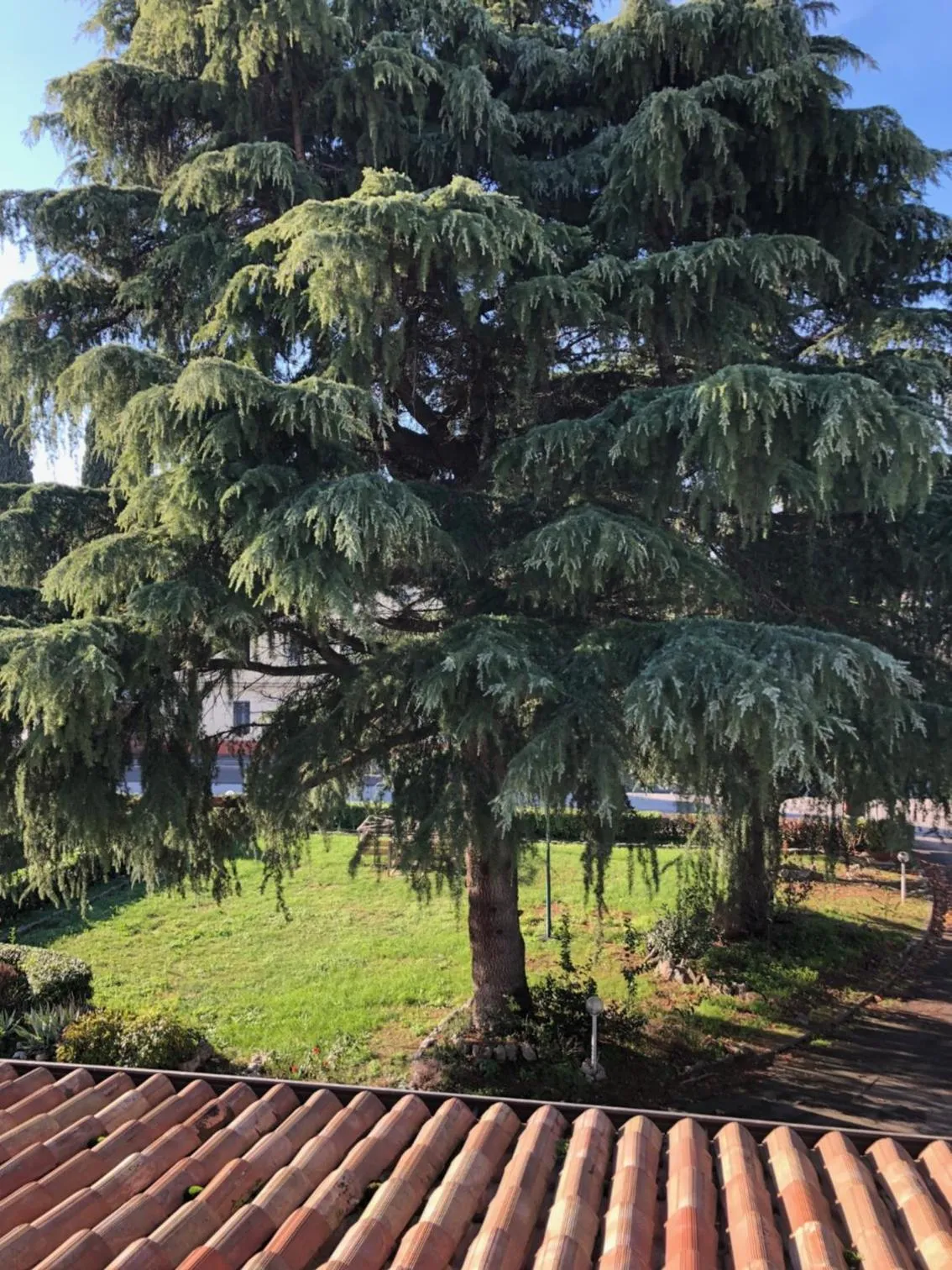 Photo of the whole room in Hotel Internazionale Gorizia
