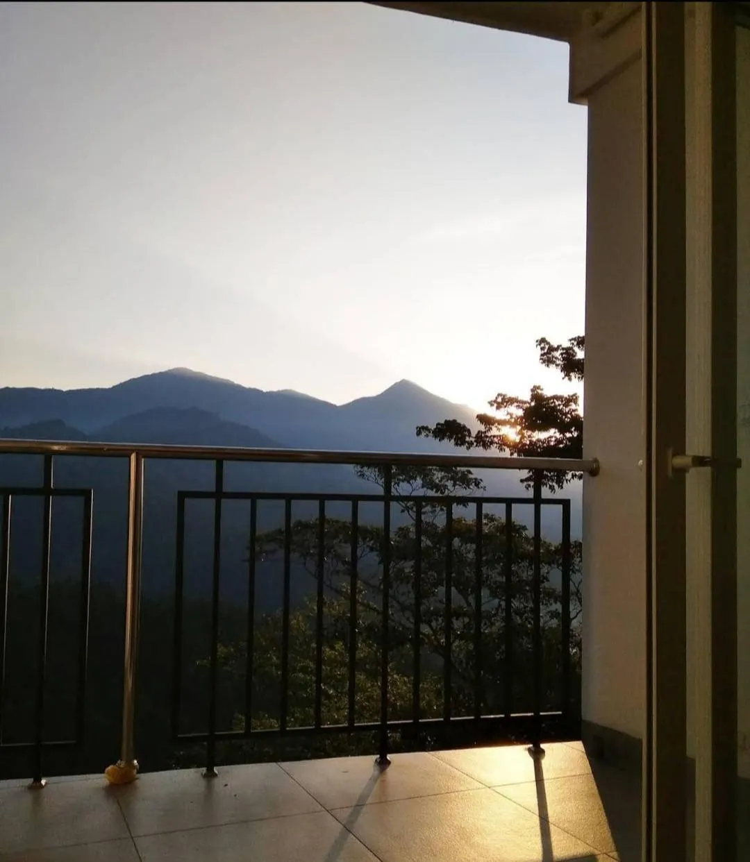 Balcony/Terrace in Palmtree Leaf, Munnar