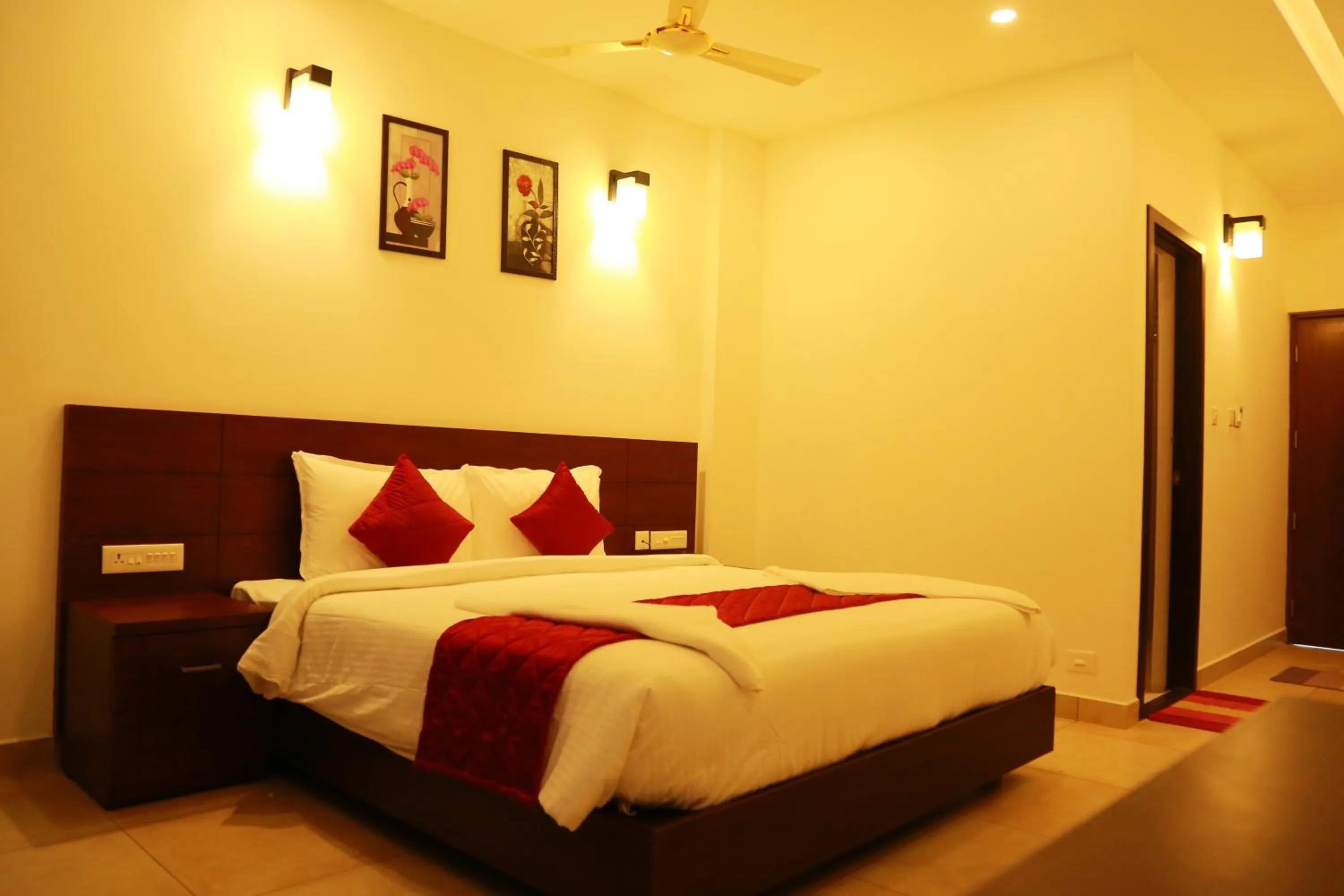 Palmtree Leaf, Munnar