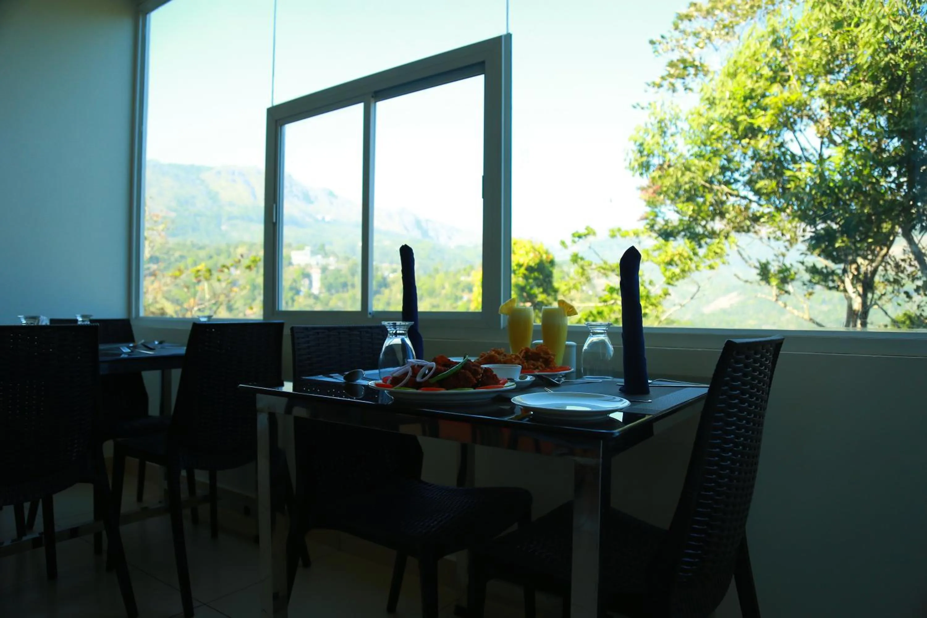 Palmtree Leaf, Munnar