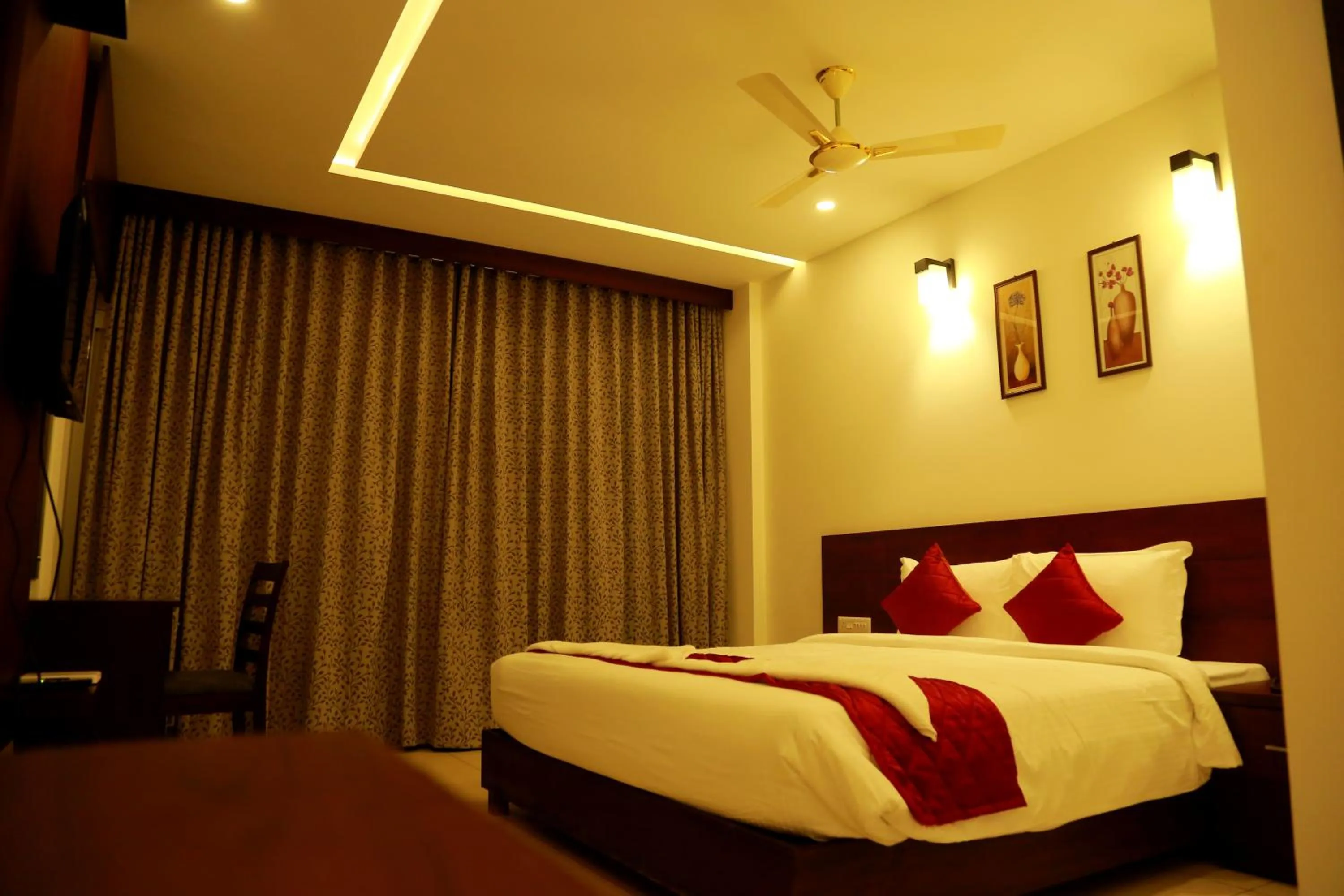 Palmtree Leaf, Munnar