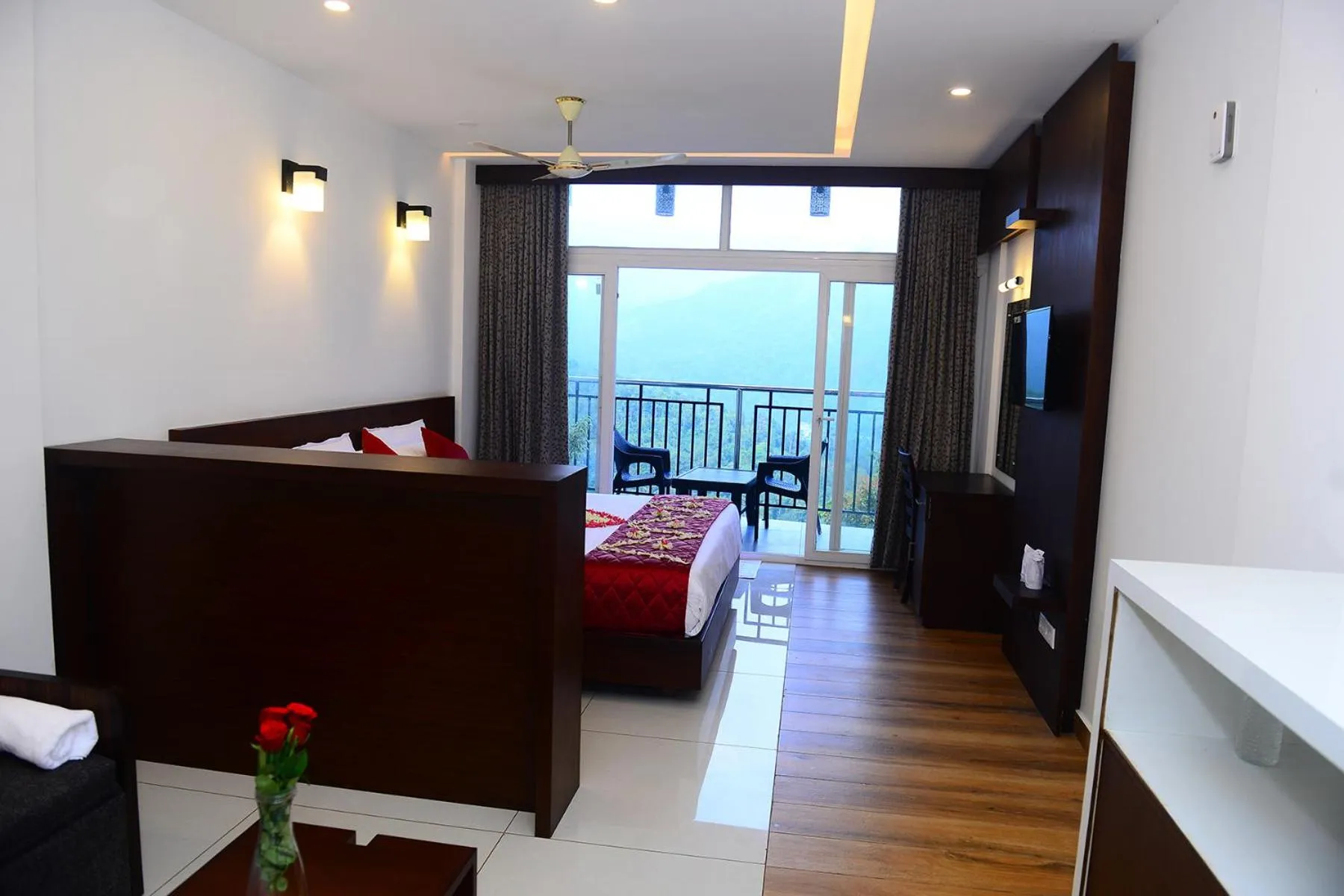 Palmtree Leaf, Munnar