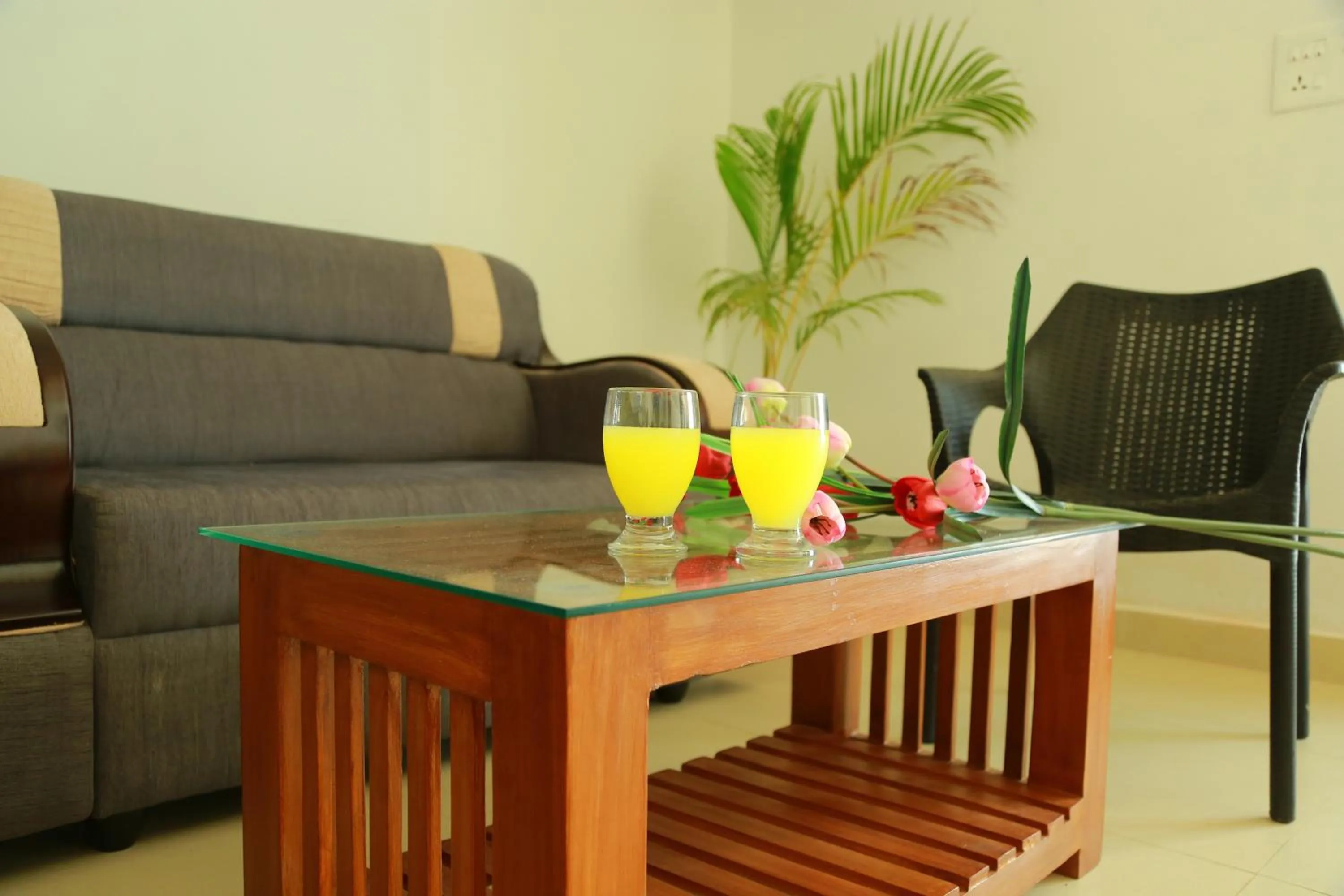 Palmtree Leaf, Munnar