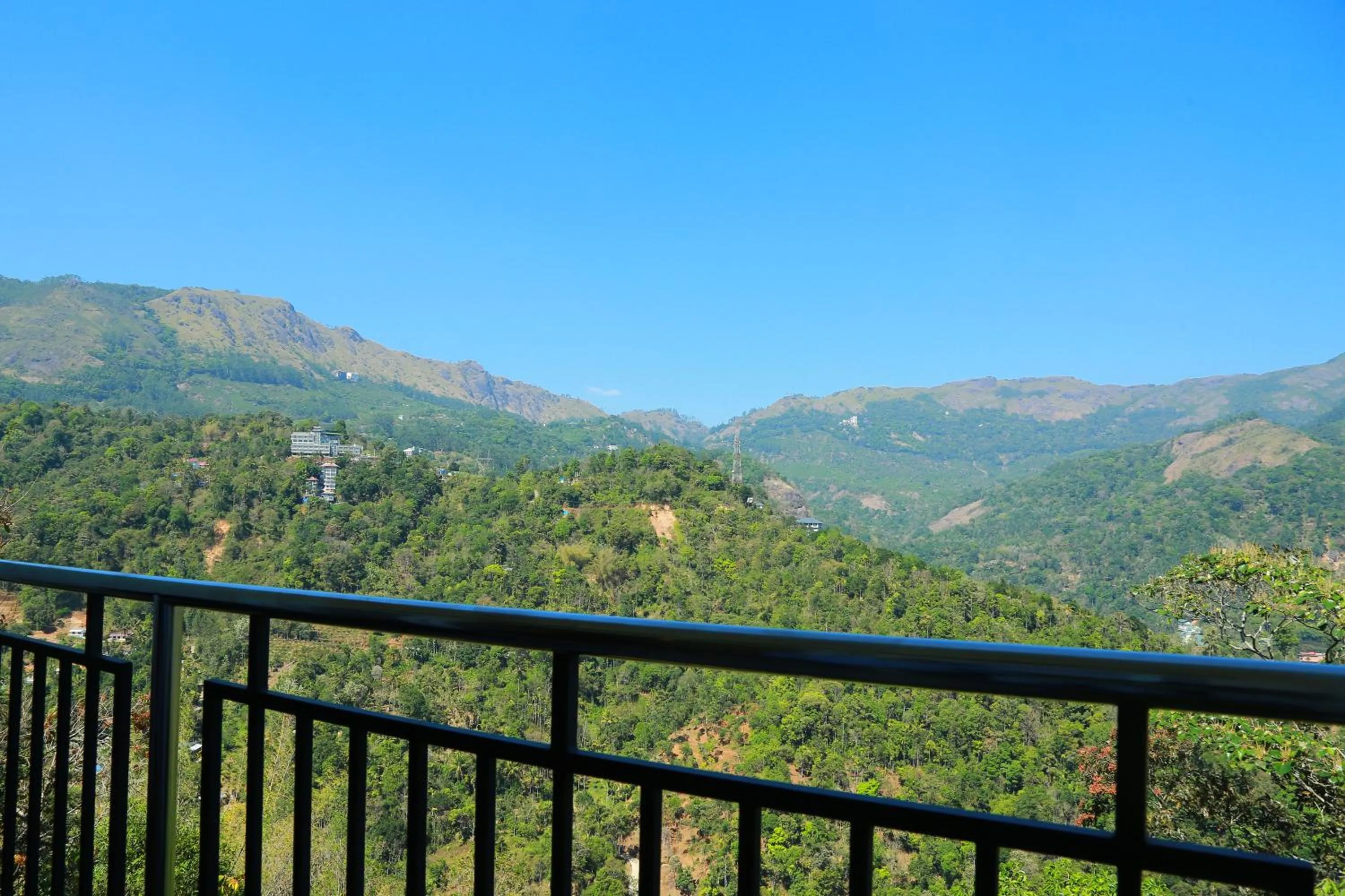 Natural landscape in Palmtree Leaf, Munnar
