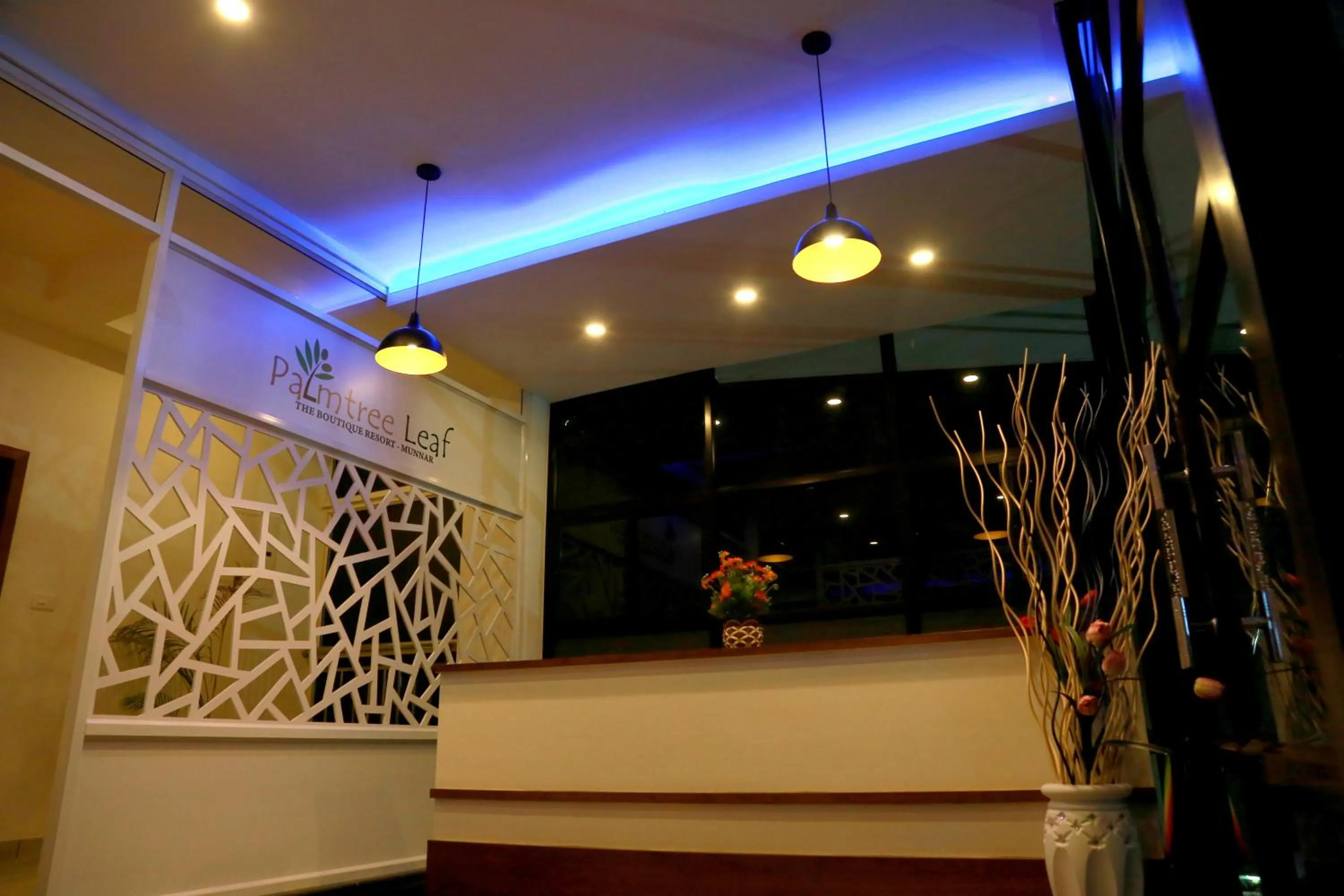 Palmtree Leaf, Munnar