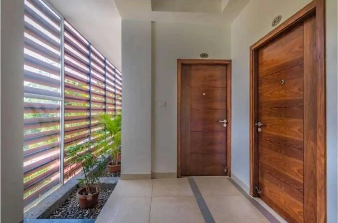 Palmtree Leaf, Munnar