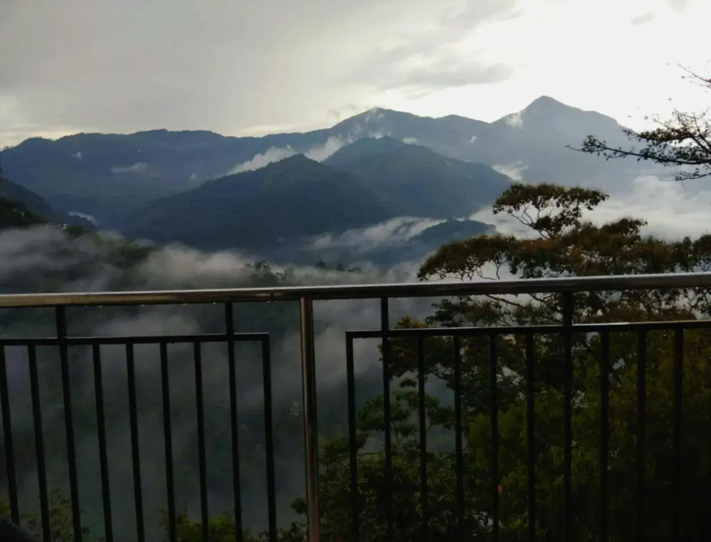 View (from property/room) in Palmtree Leaf, Munnar View (from property/room) in Palmtree Leaf, Munnar