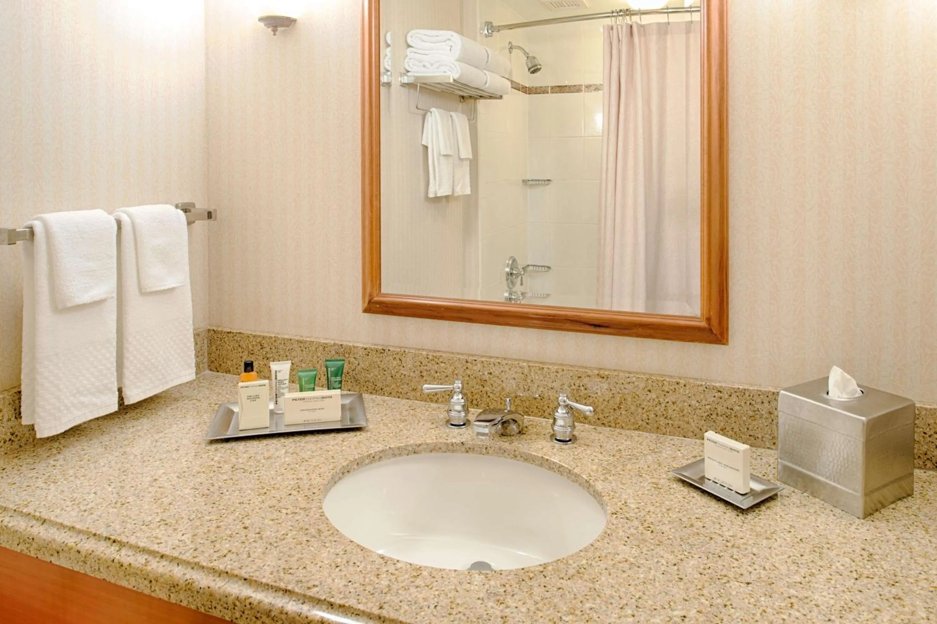 Bathroom in Hilton Seattle Airport & Conference Center