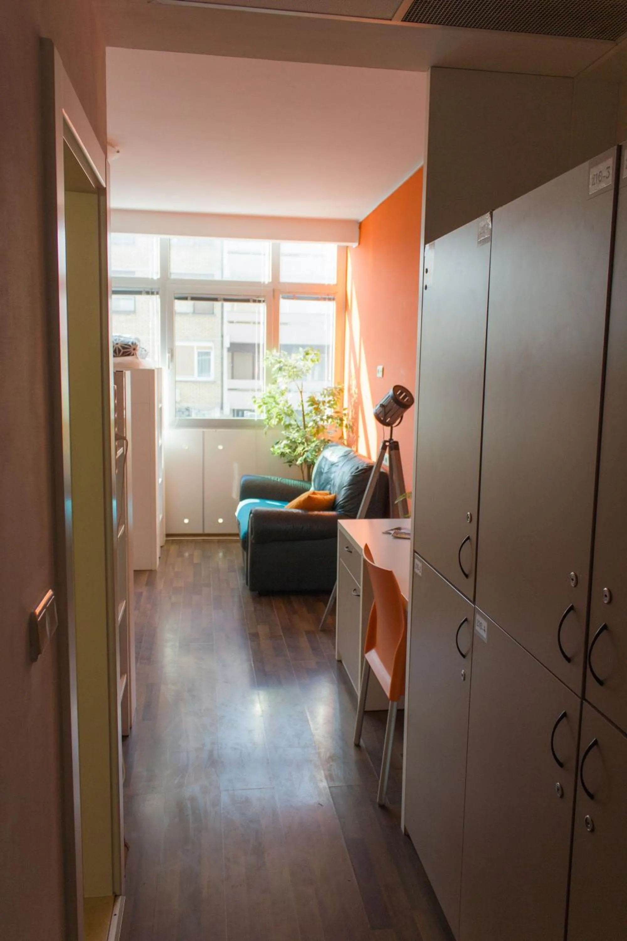 Seating area, Bed in Funk Lounge Hostel