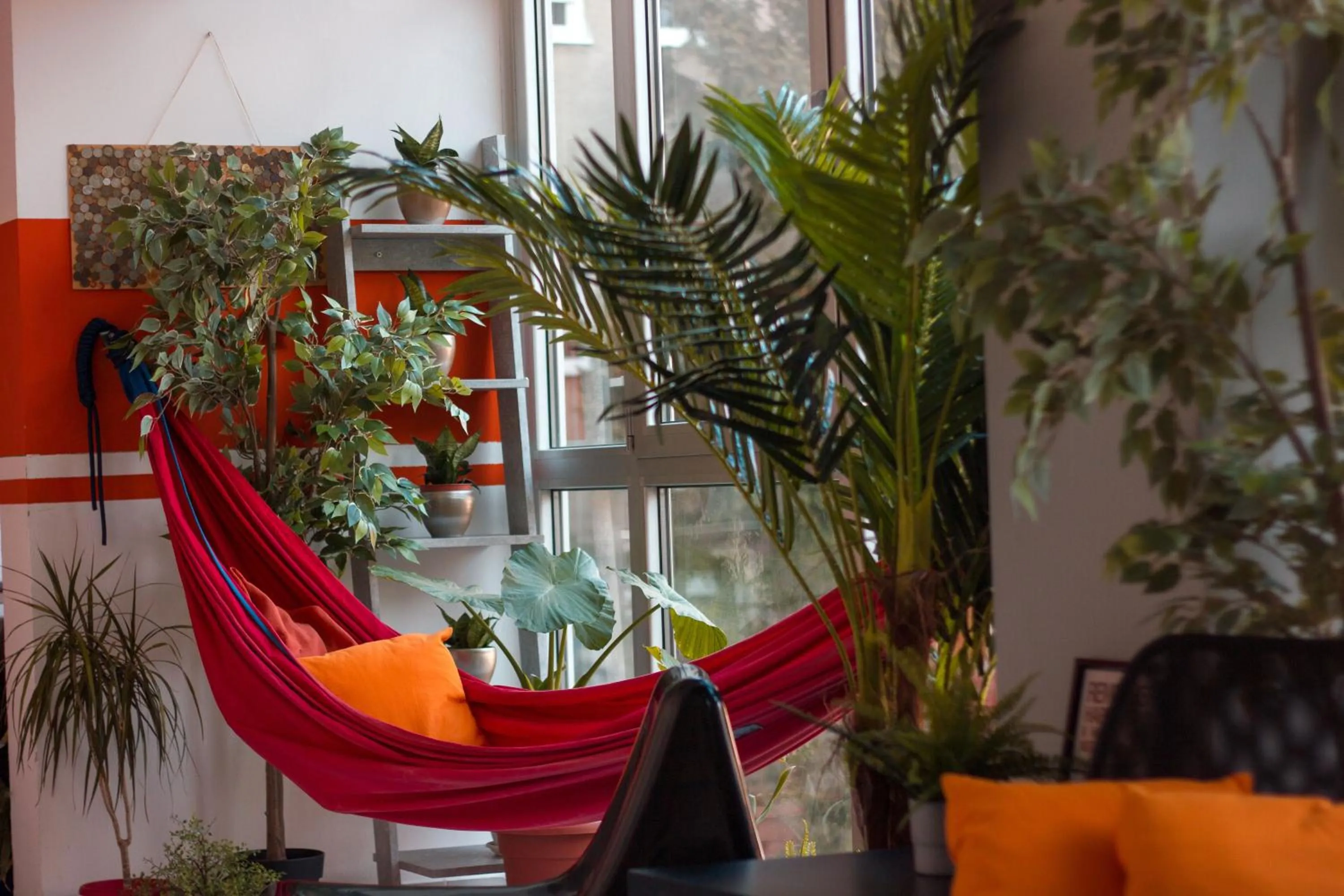 Communal lounge/ TV room in Funk Lounge Hostel