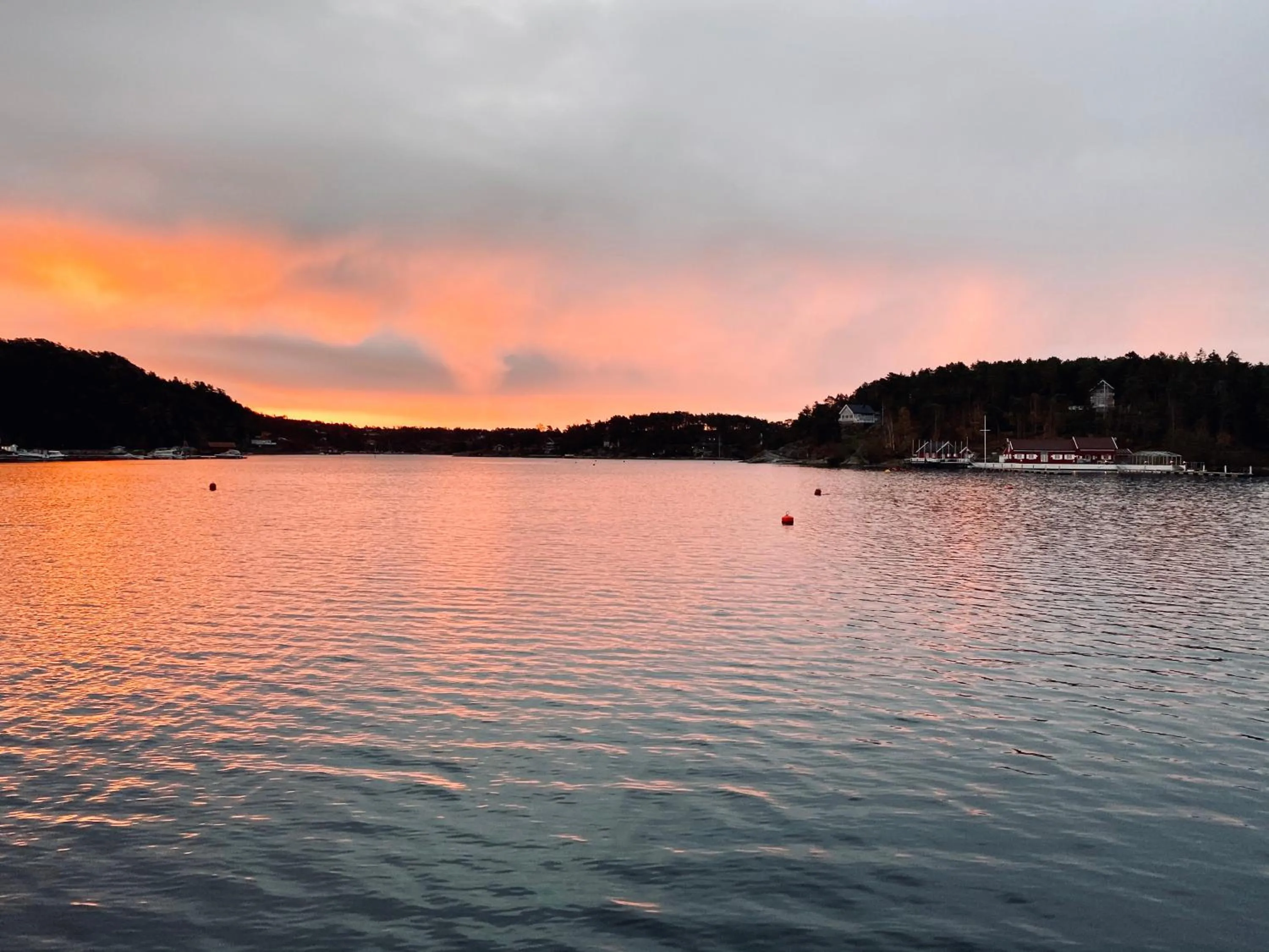 Natural landscape in Hankø Hotell & Spa