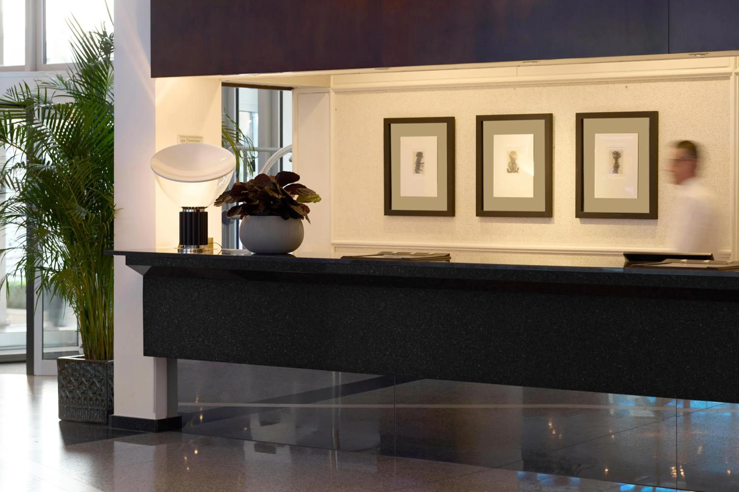 Lobby or reception in Mediterranean Beach Hotel