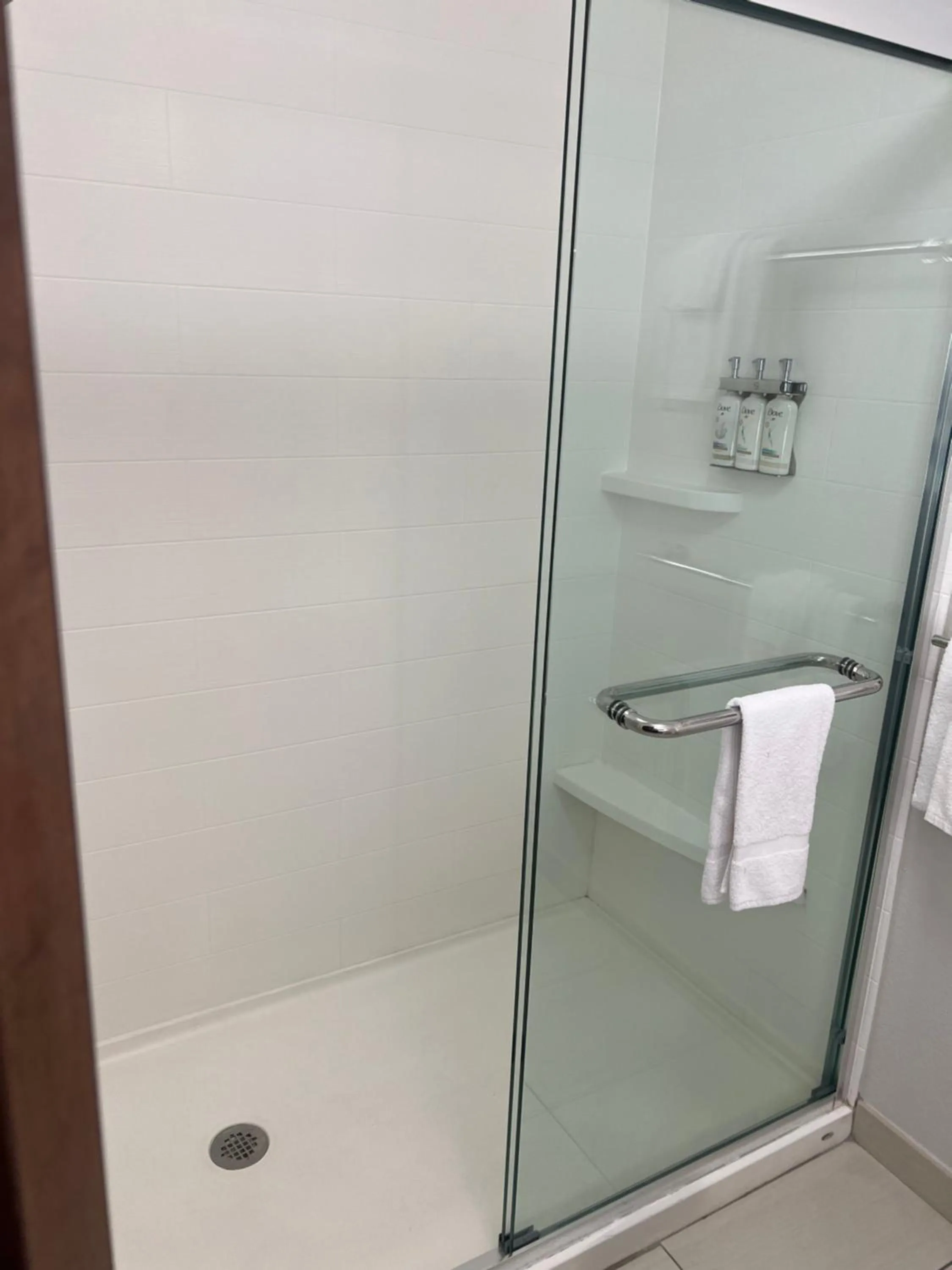 Shower in Holiday Inn Express & Suites Mobile - University Area by IHG