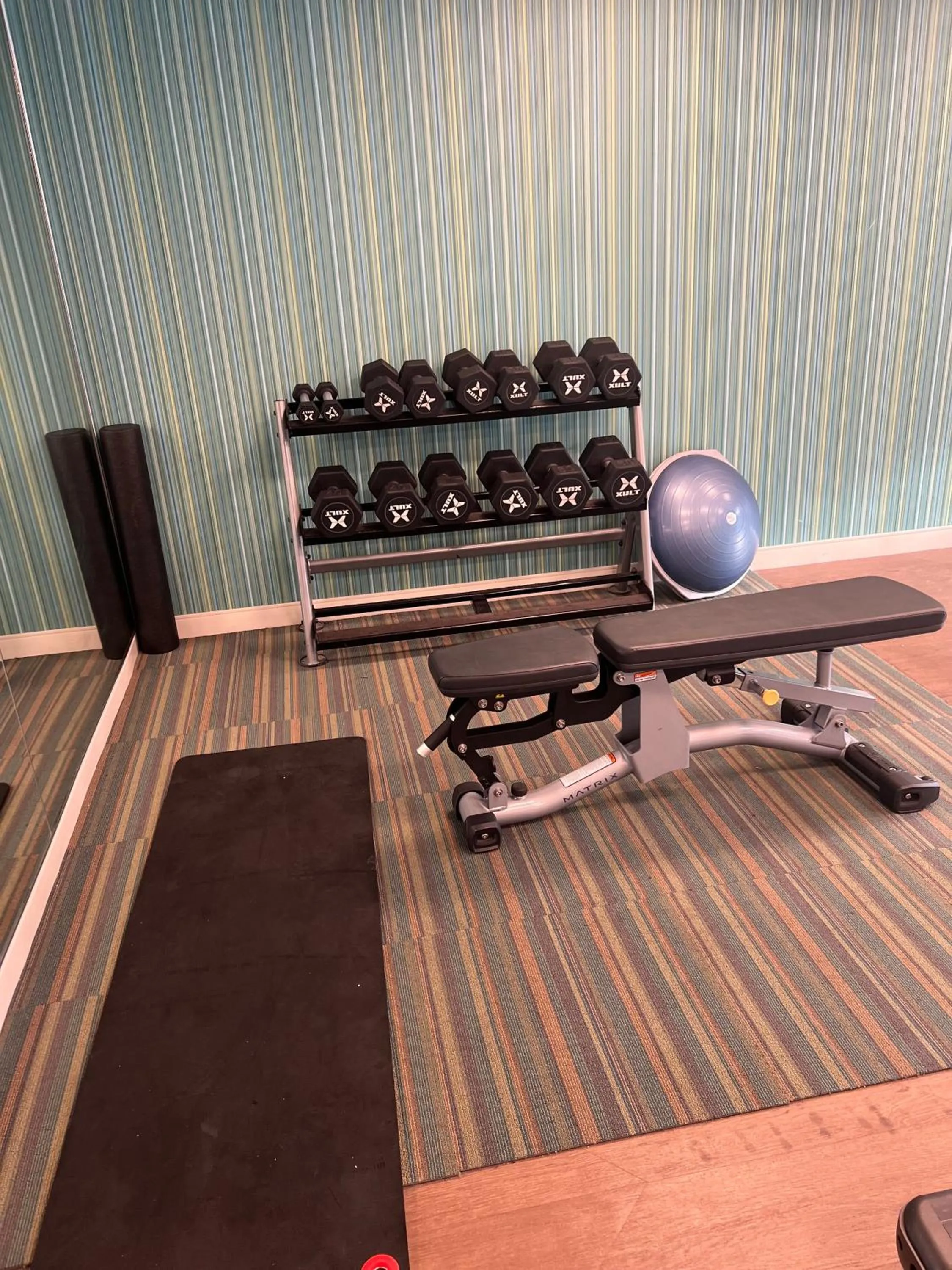 Fitness centre/facilities in Holiday Inn Express & Suites Mobile - University Area by IHG