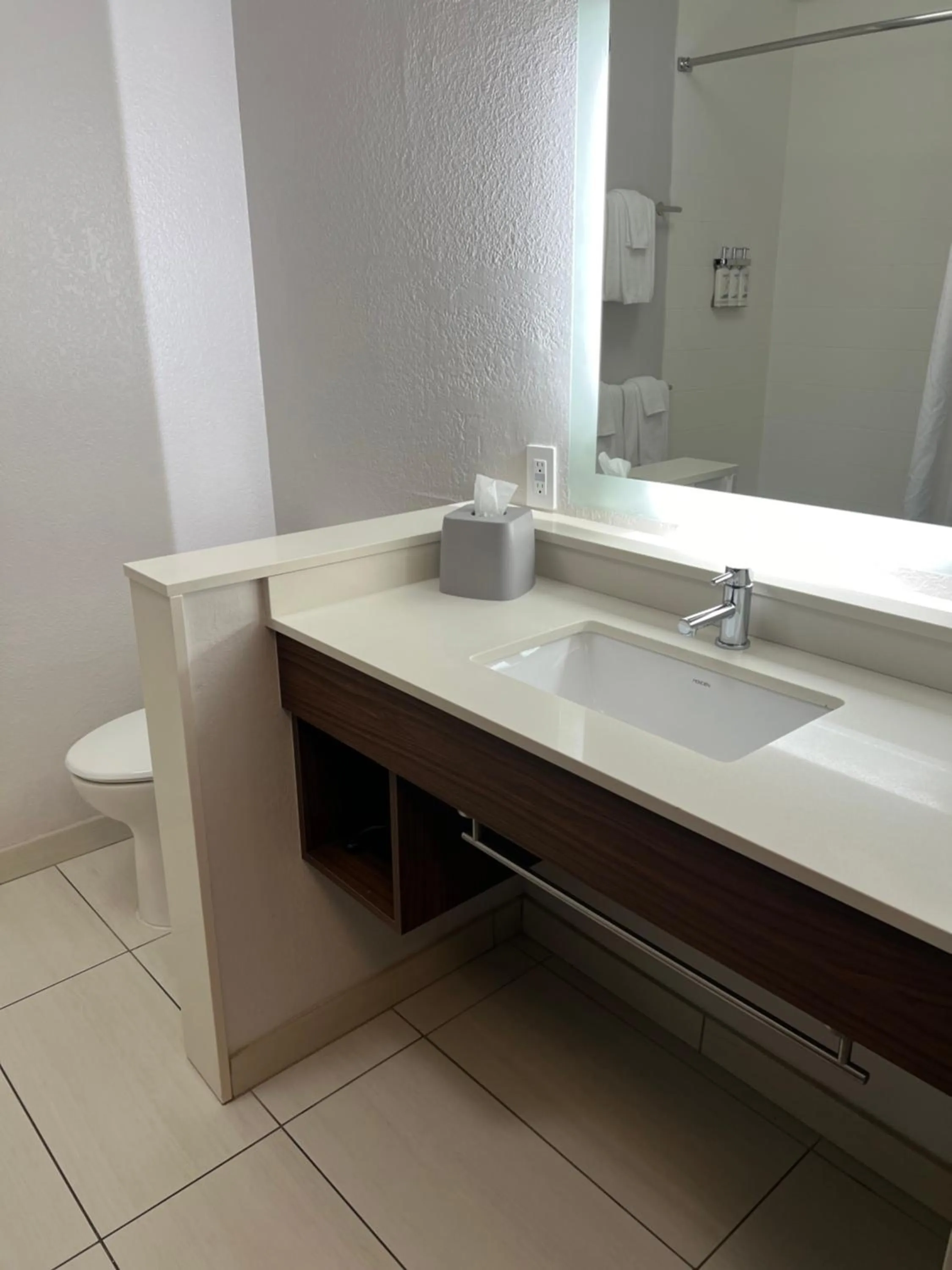 Bathroom in Holiday Inn Express & Suites Mobile - University Area by IHG