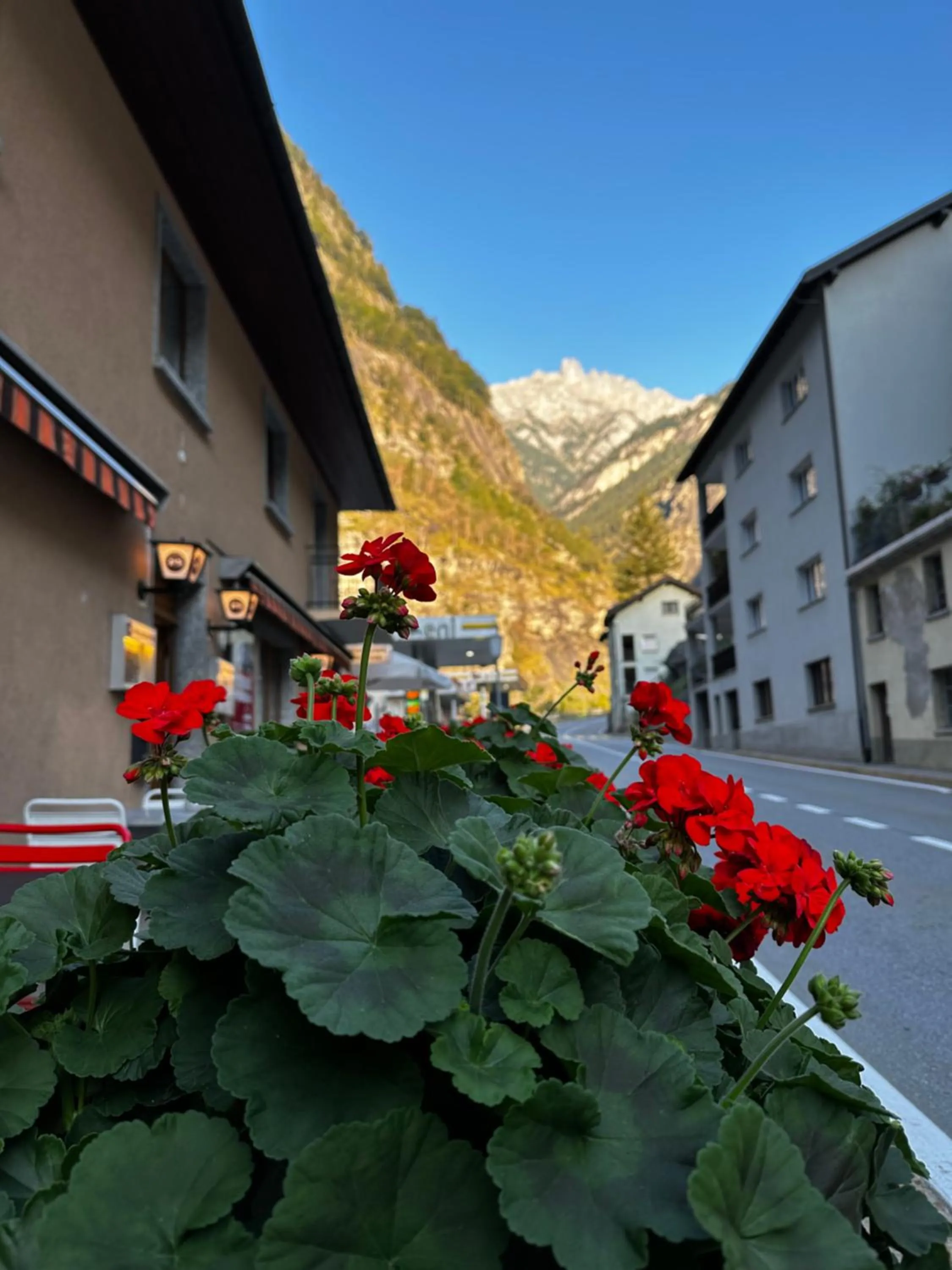 Property building in Pension Bellevue Gondo