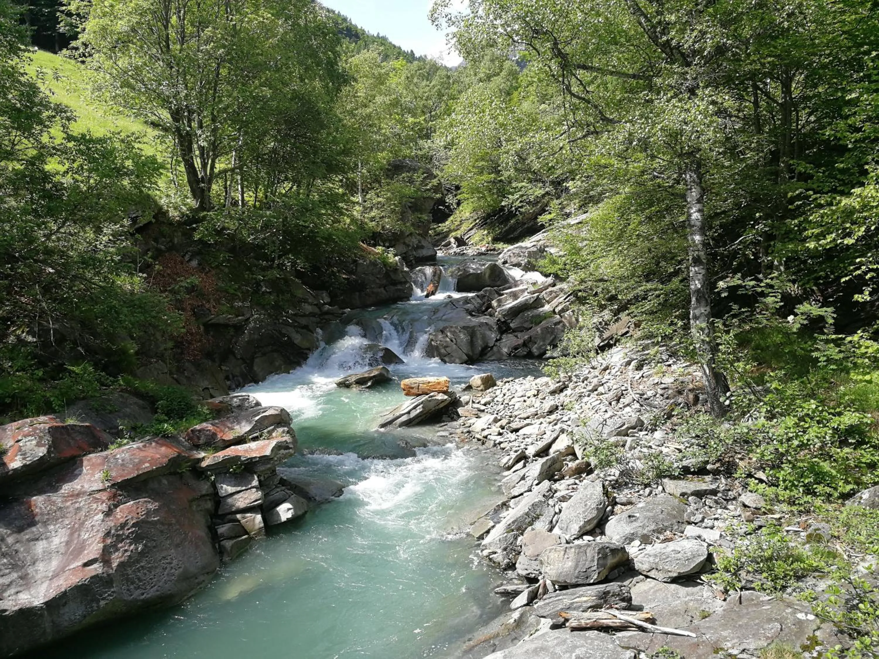 Other in Pension Bellevue Gondo