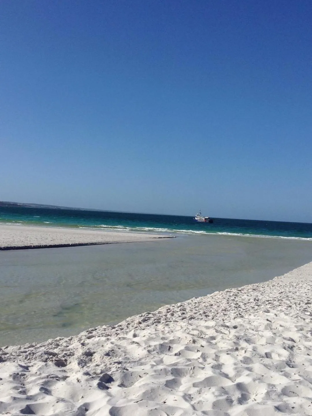 Natural landscape in Georges Bay Apartments