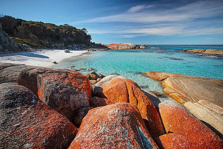 Natural landscape in Georges Bay Apartments