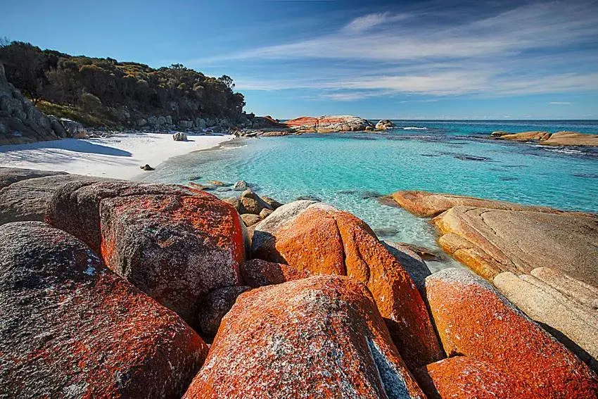 Natural landscape in Georges Bay Apartments Natural landscape in Georges Bay Apartments
