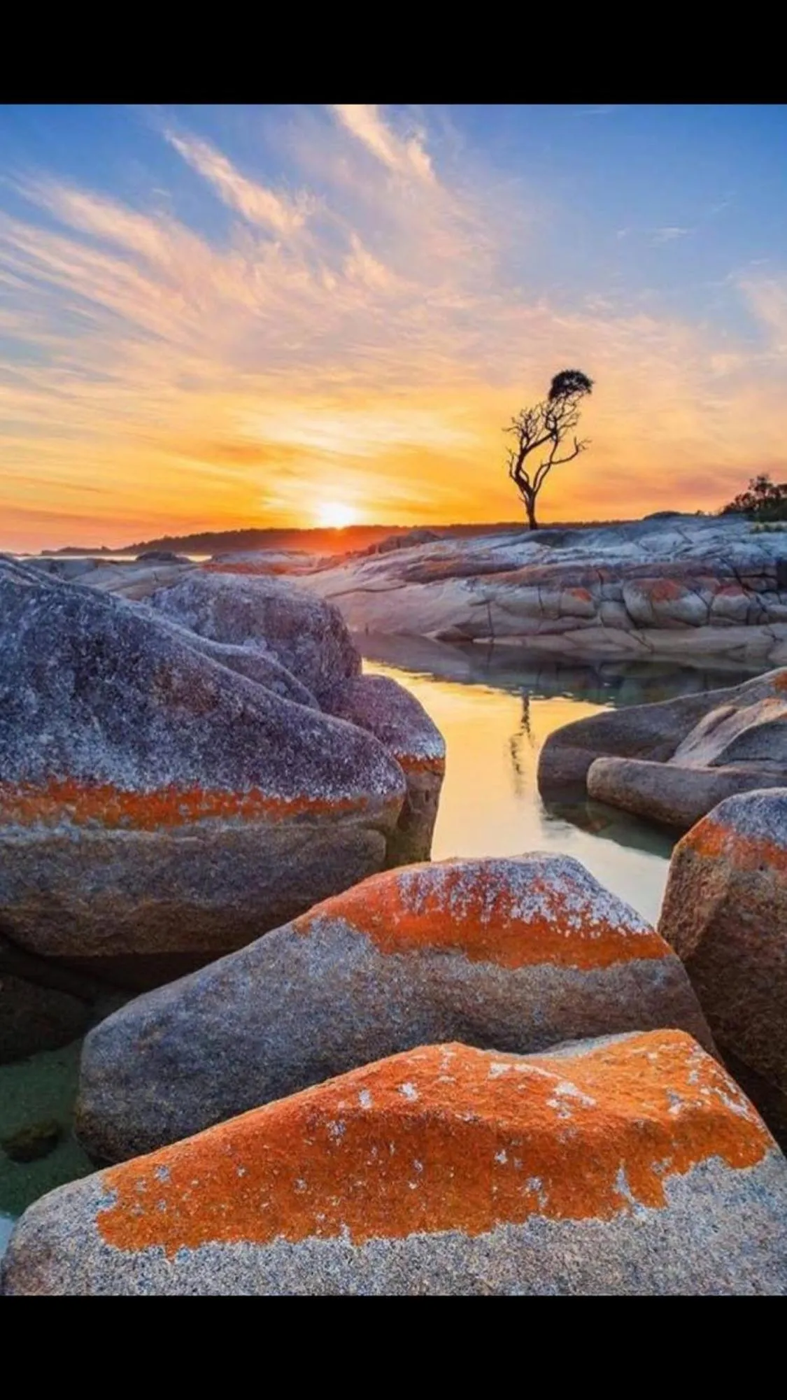 Natural landscape in Georges Bay Apartments