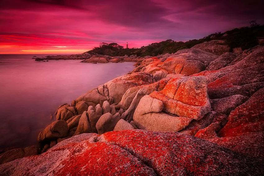 Natural landscape in Georges Bay Apartments