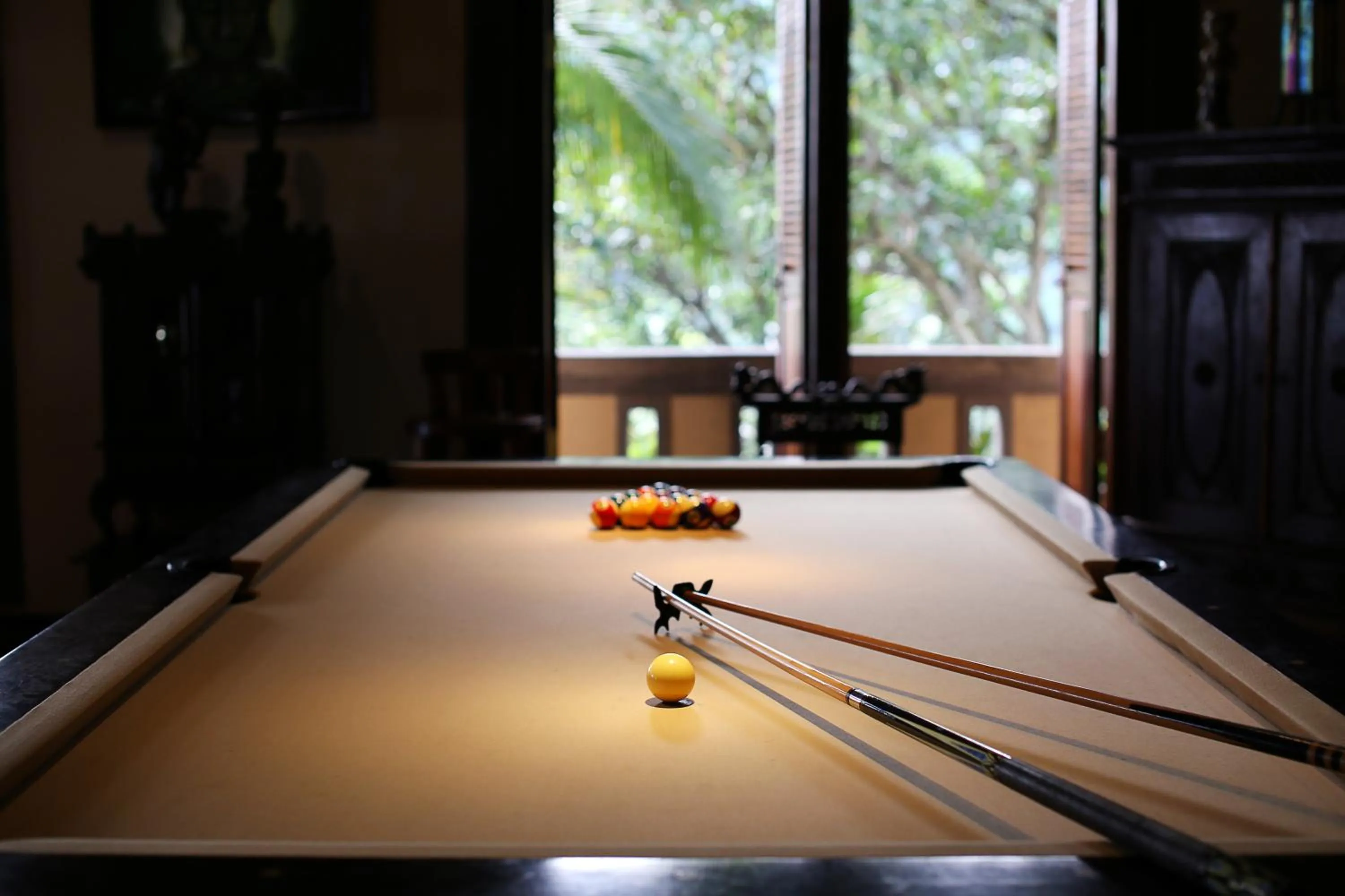 Billiard in Villa Patria