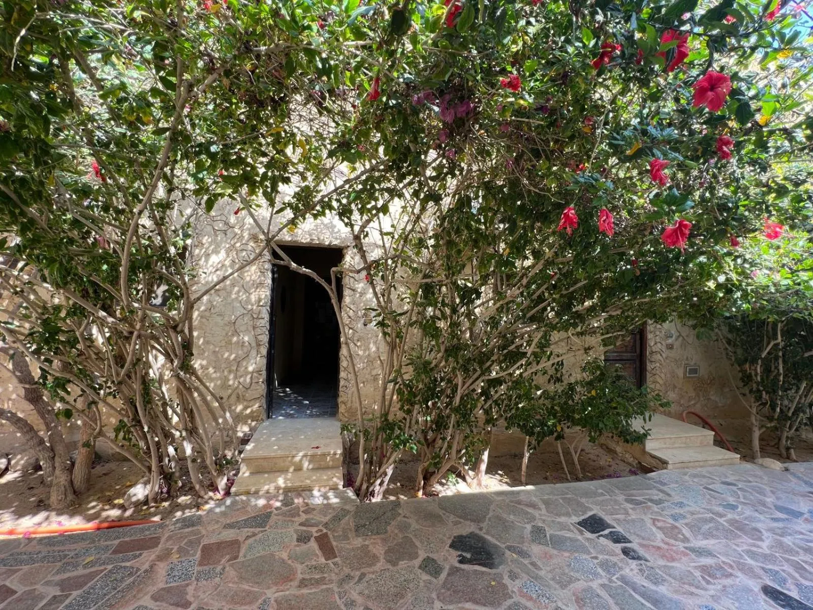 Zad El Mosafer Guest House