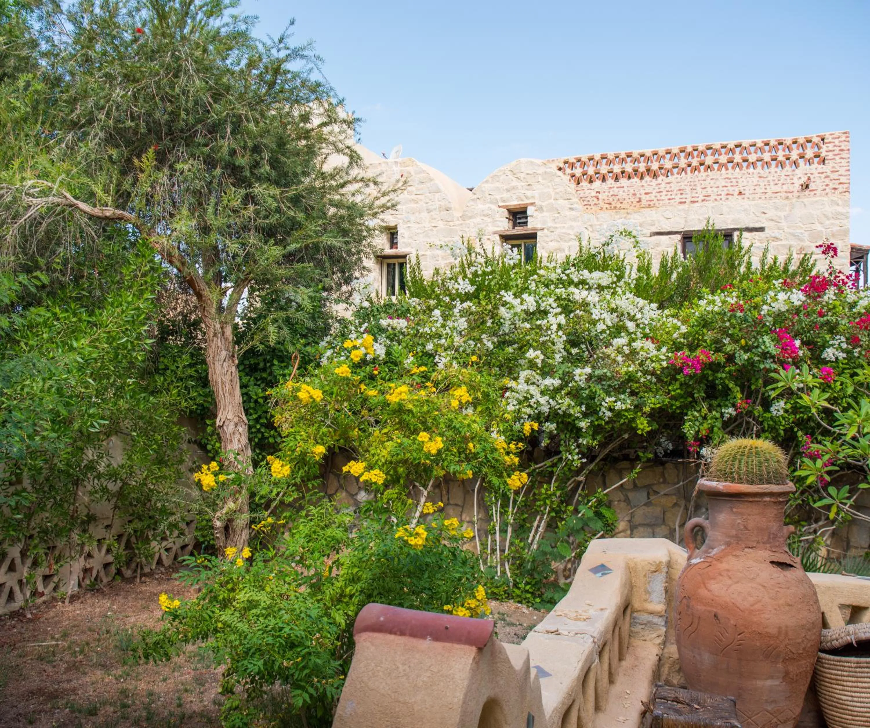 Garden in Zad El Mosafer Guest House
