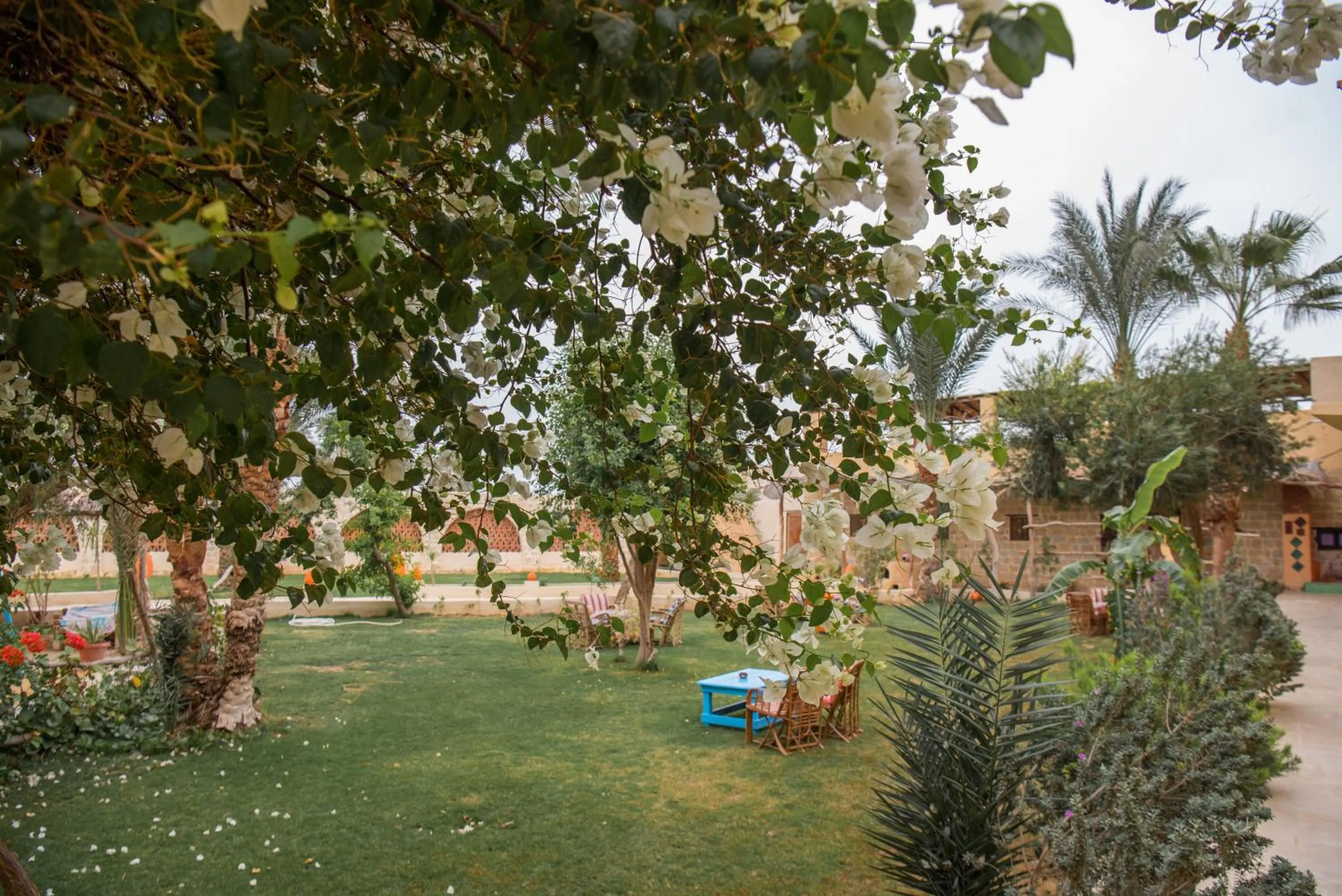 Garden in Zad El Mosafer Guest House