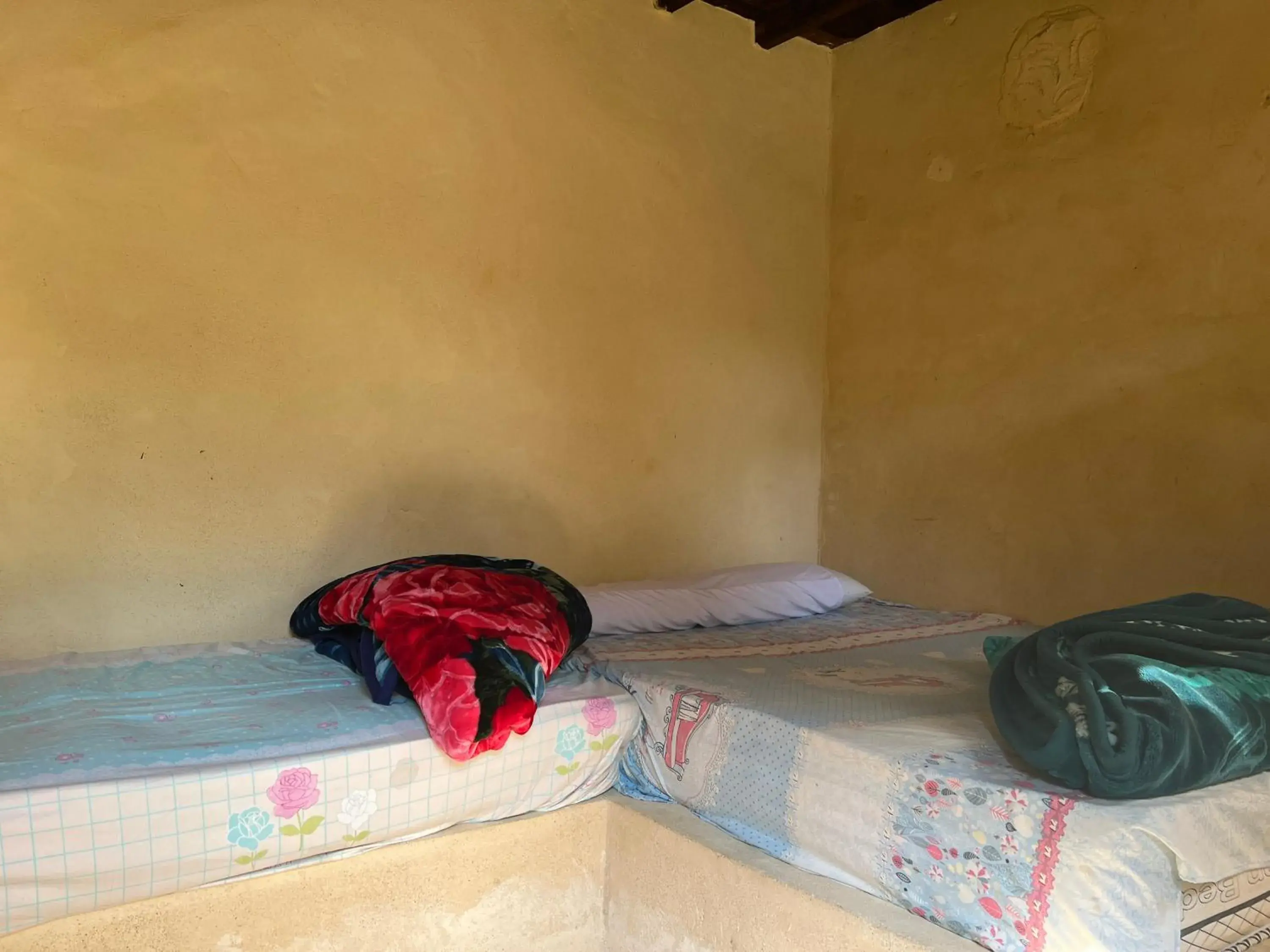Single Room with Garden View in Zad El Mosafer Guest House Single Room with Garden View in Zad El Mosafer Guest House