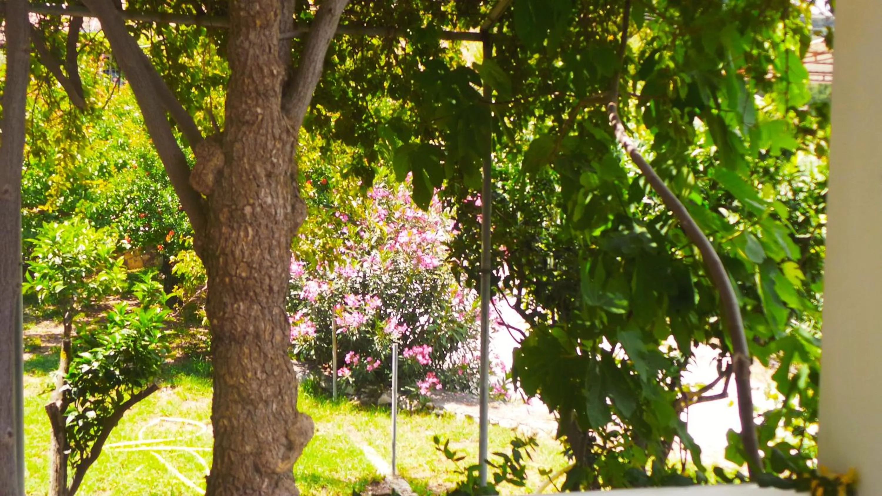 Day in Fiore Hill Sea View Studios