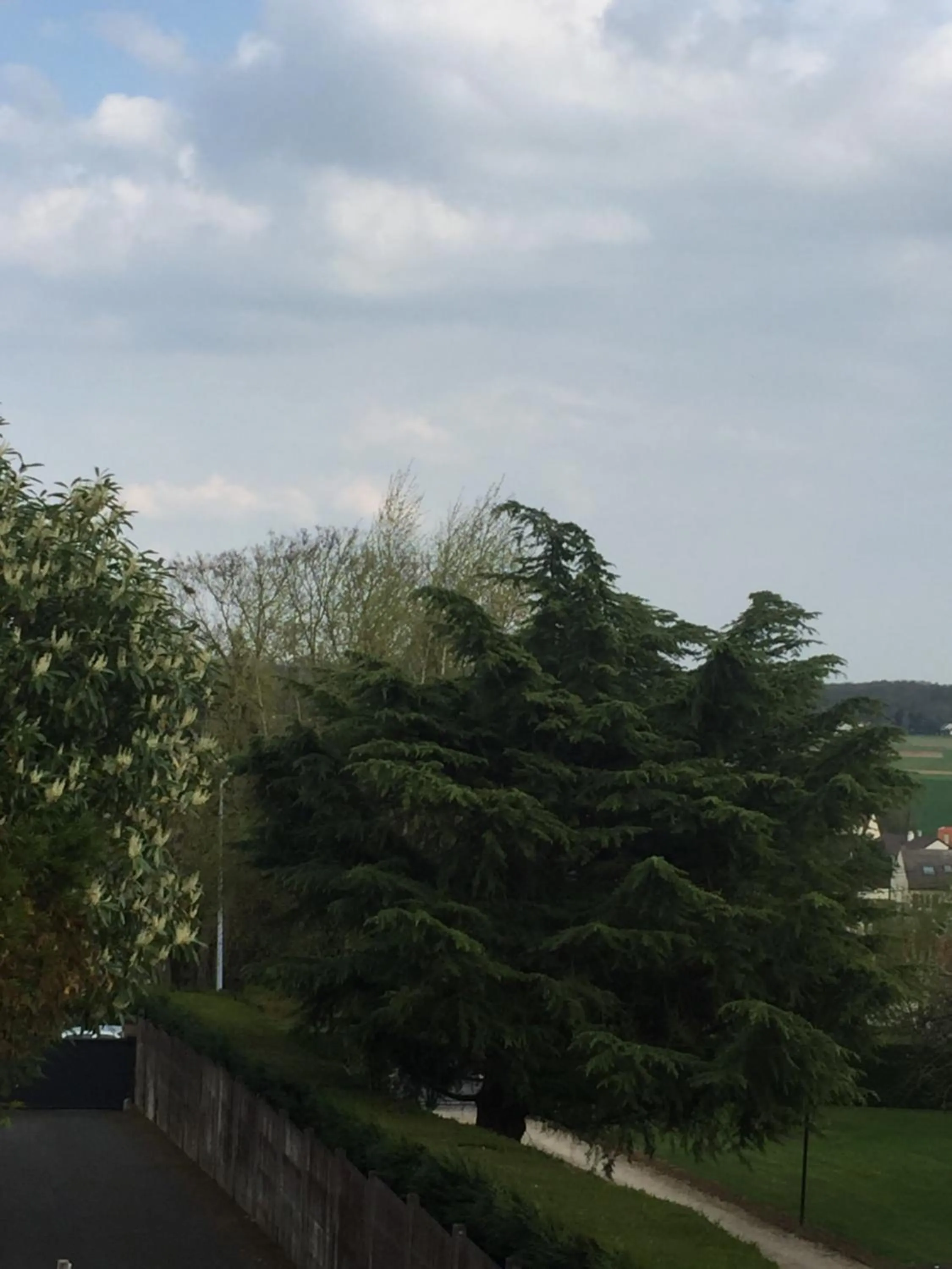 Garden view in Chambres d'Hôtes Poirier Bazin