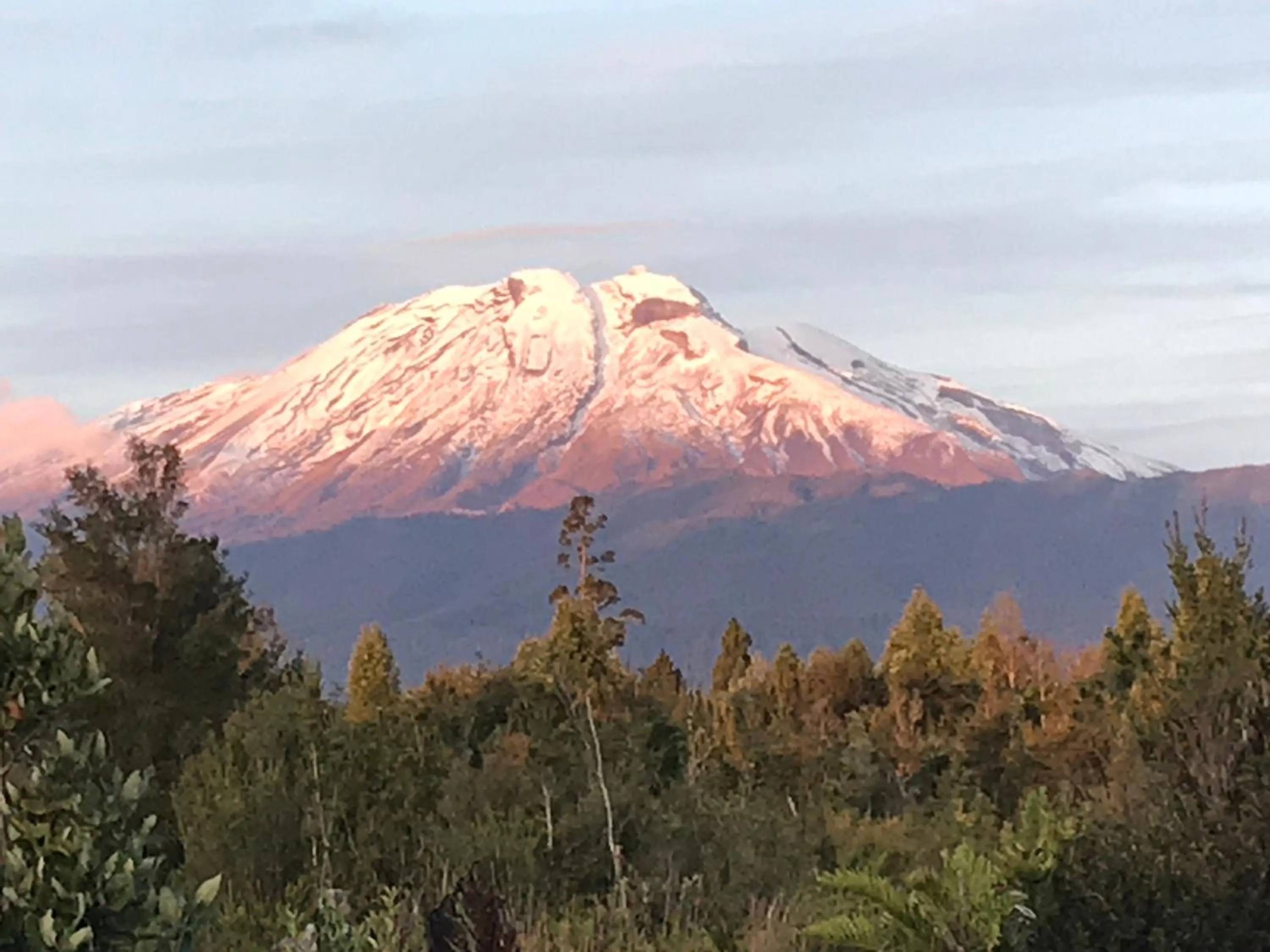 Landmark view in Parque la Pajarera