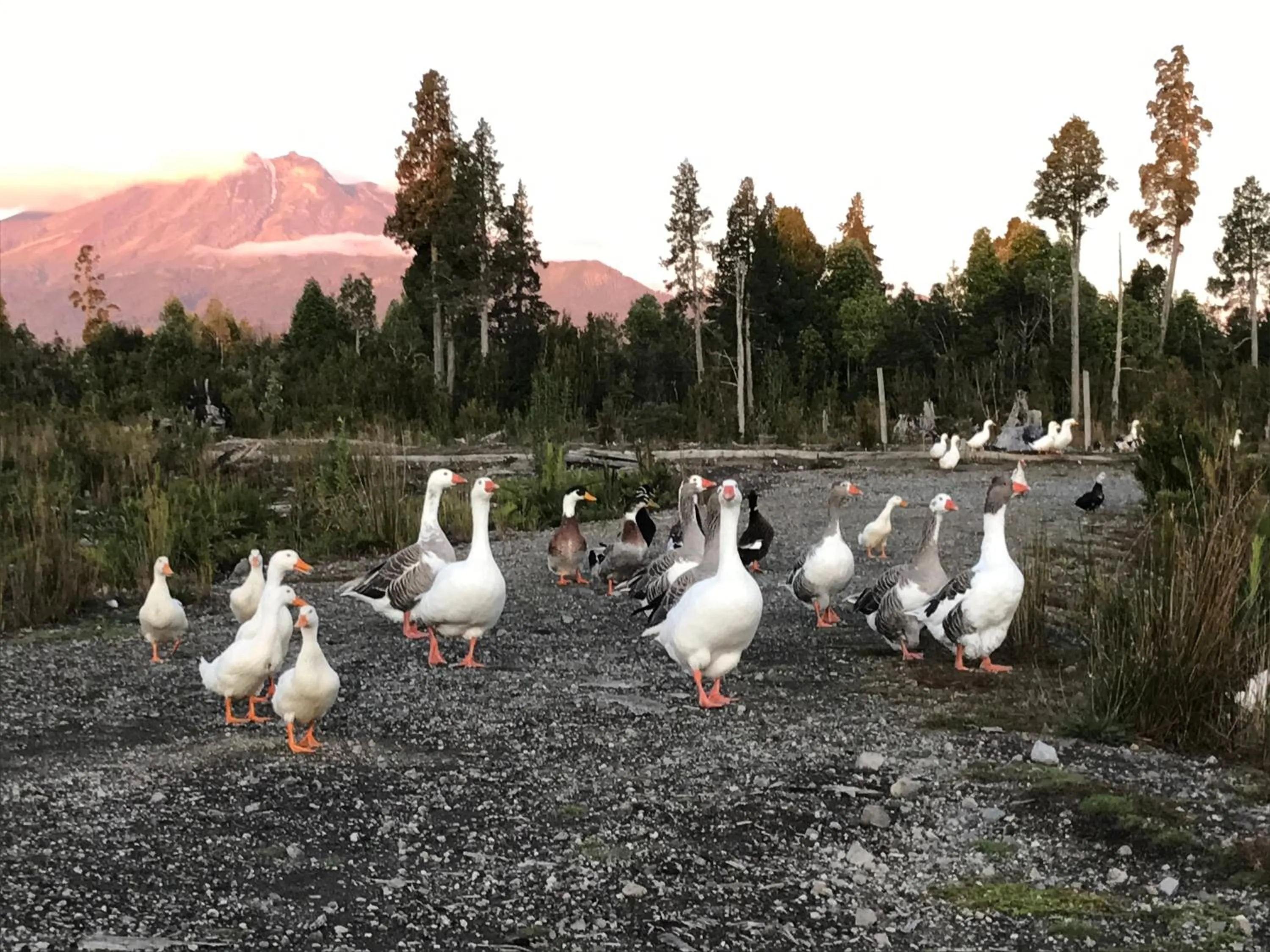 Activities in Parque la Pajarera